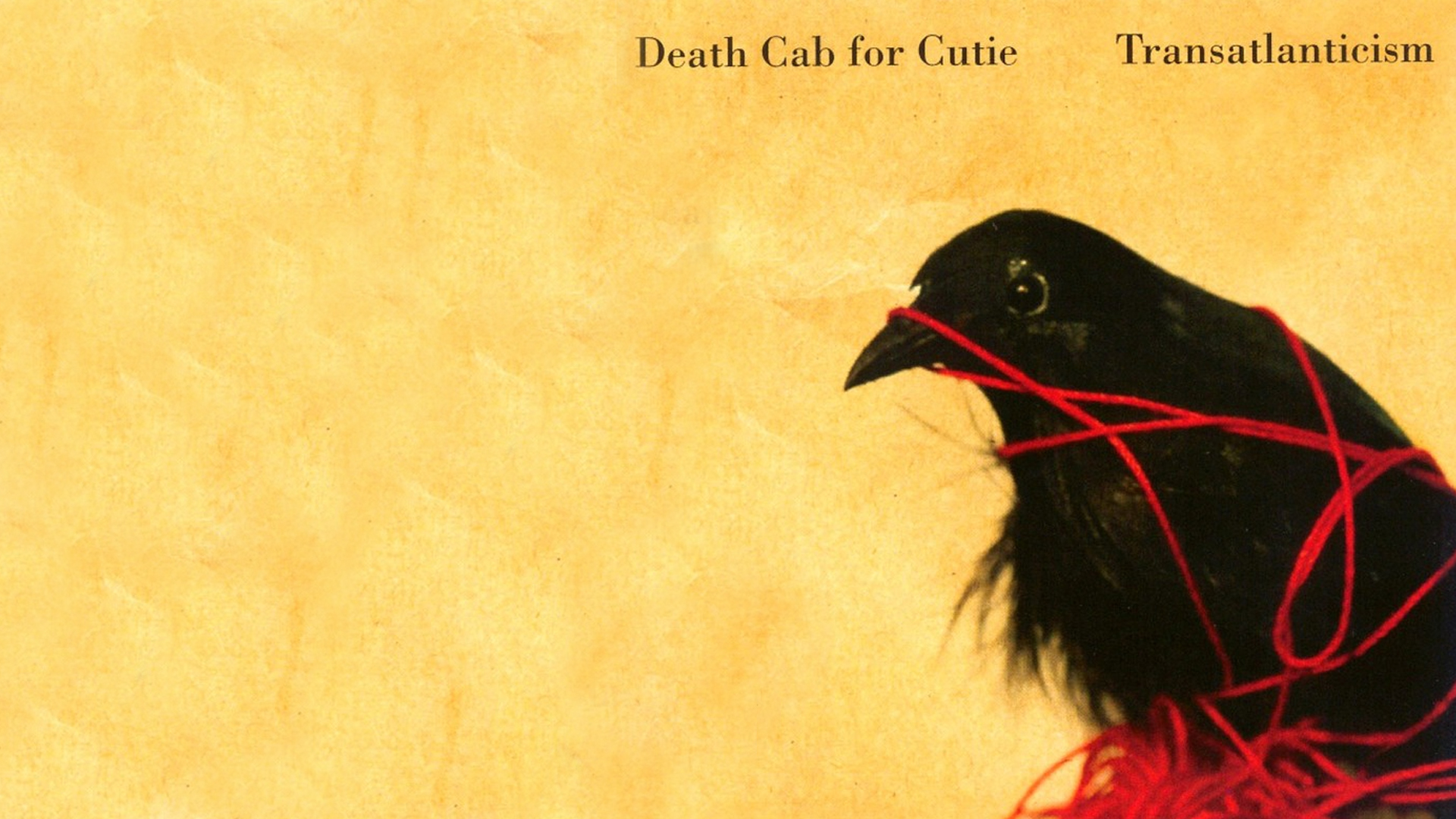 Death Cab for Cutie Transatlanticism Album Cover HD Wallpaper