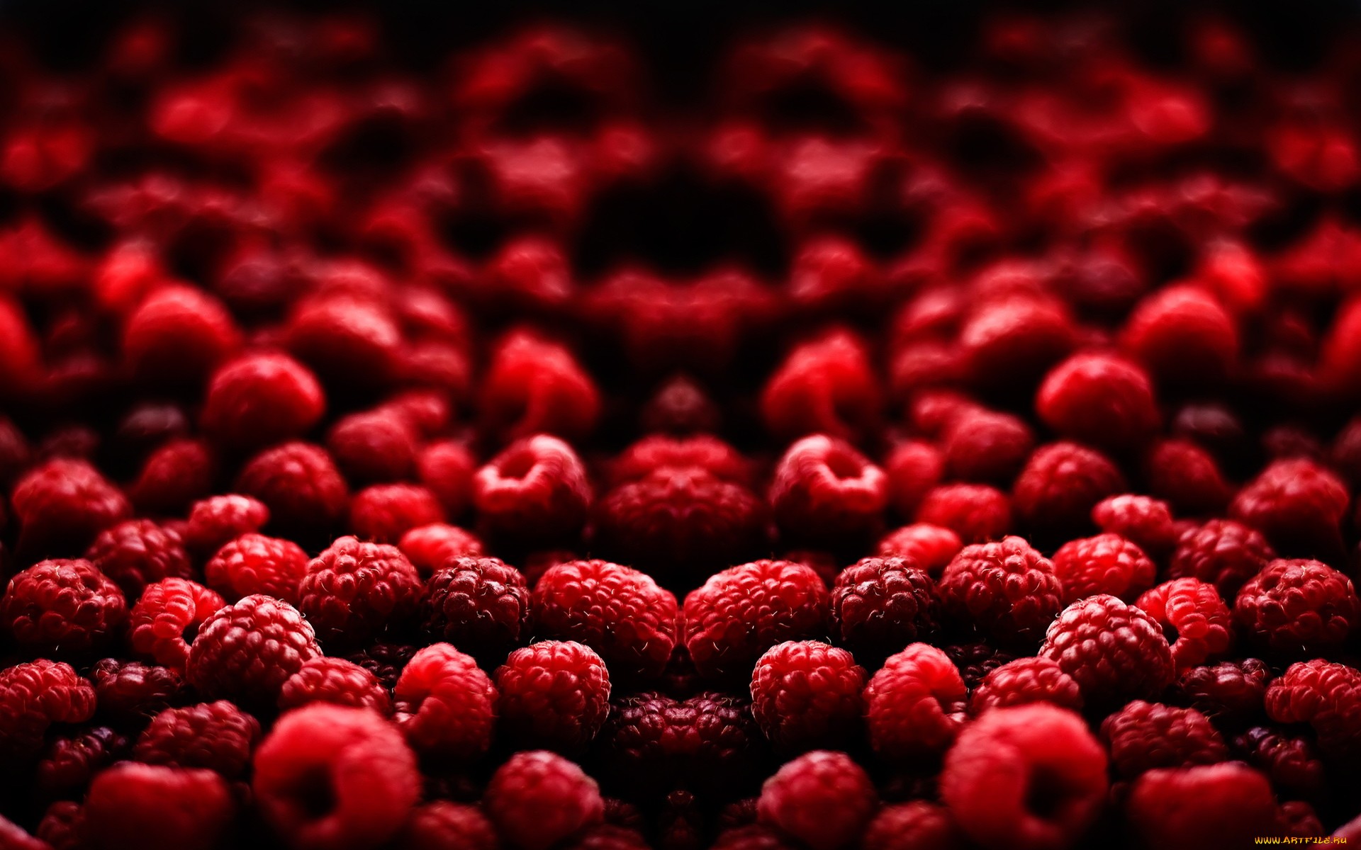 Close-up of fresh raspberries HD Wallpaper