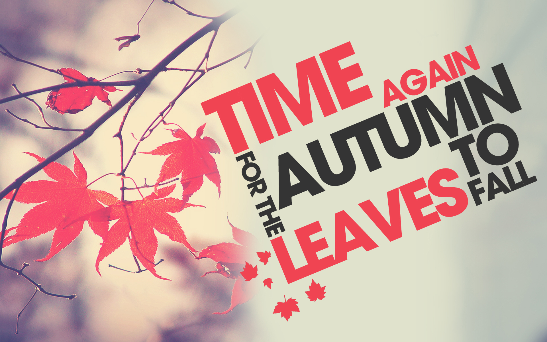 Time for the leaves to fall again HD Wallpaper