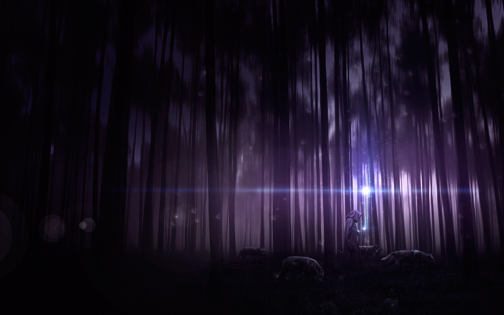 Fantasy wizard with wolves in a dark forest HD Wallpaper