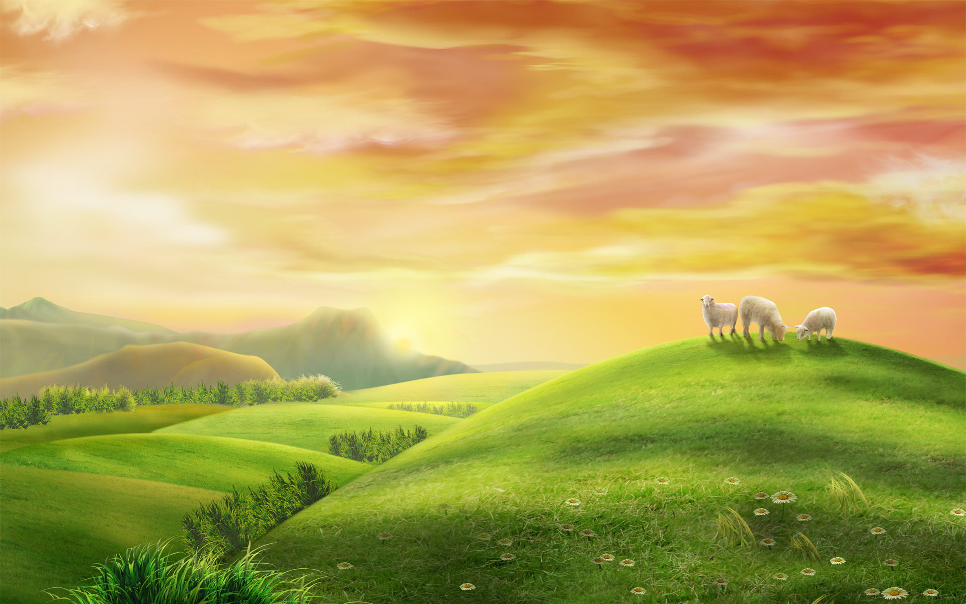 Sheep grazing on green hills at sunset HD Wallpaper