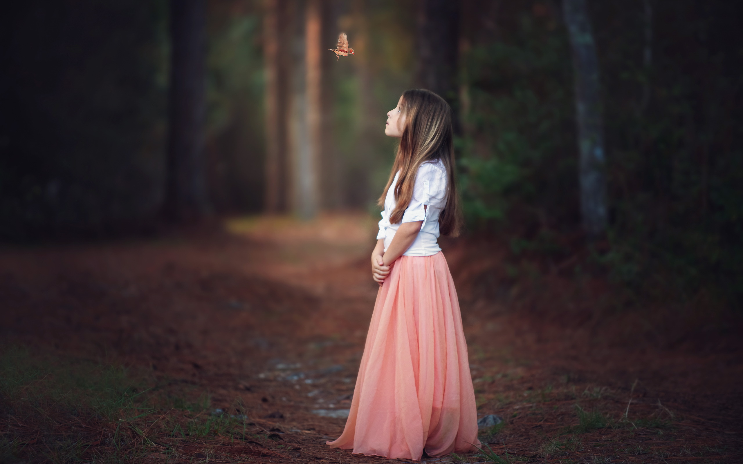 Girl in a peach skirt looking at a bird in a forest HD Wallpaper