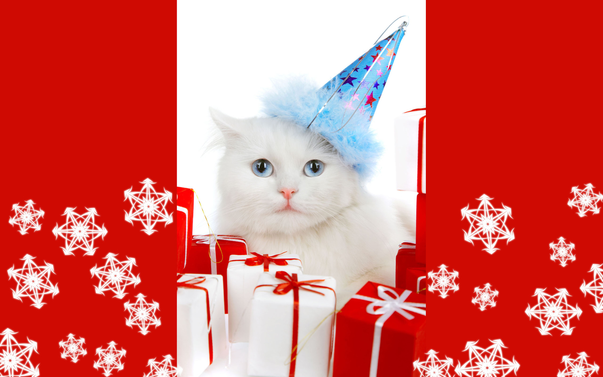 White cat wearing a party hat with gifts HD Wallpaper