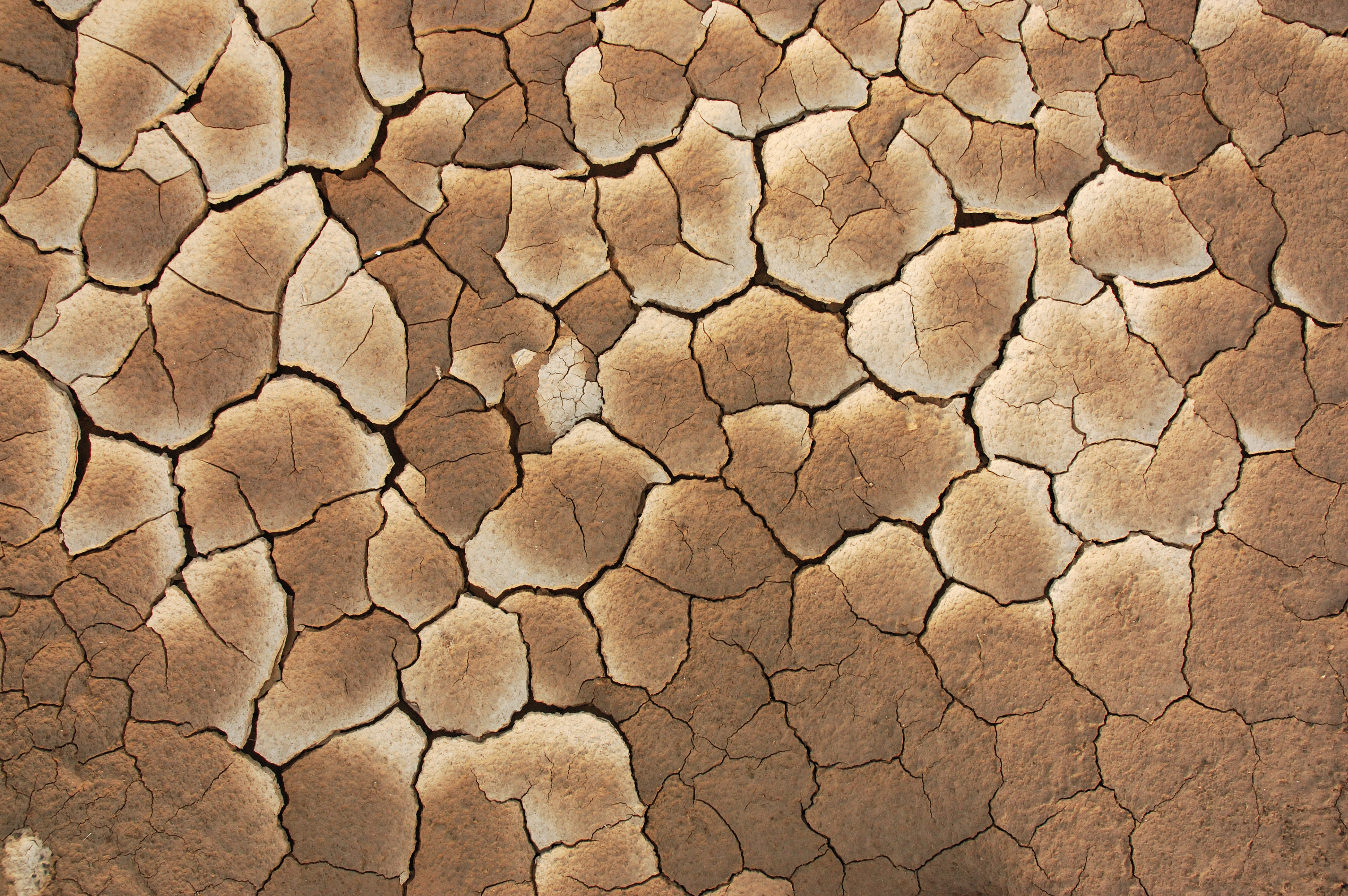 Cracked dry earth texture HD Wallpaper