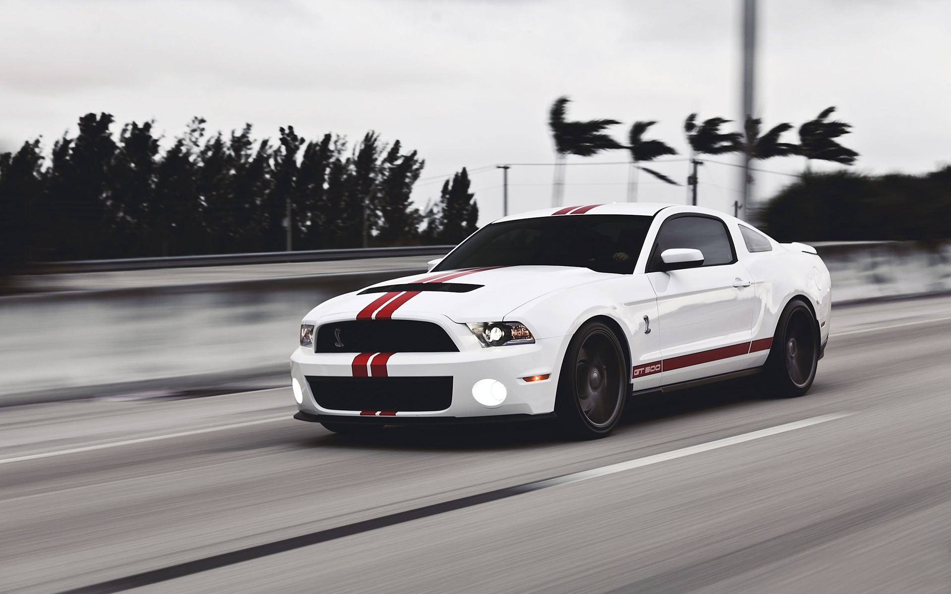 White Ford Mustang GT 500 with Red Stripes on Highway HD Wallpaper
