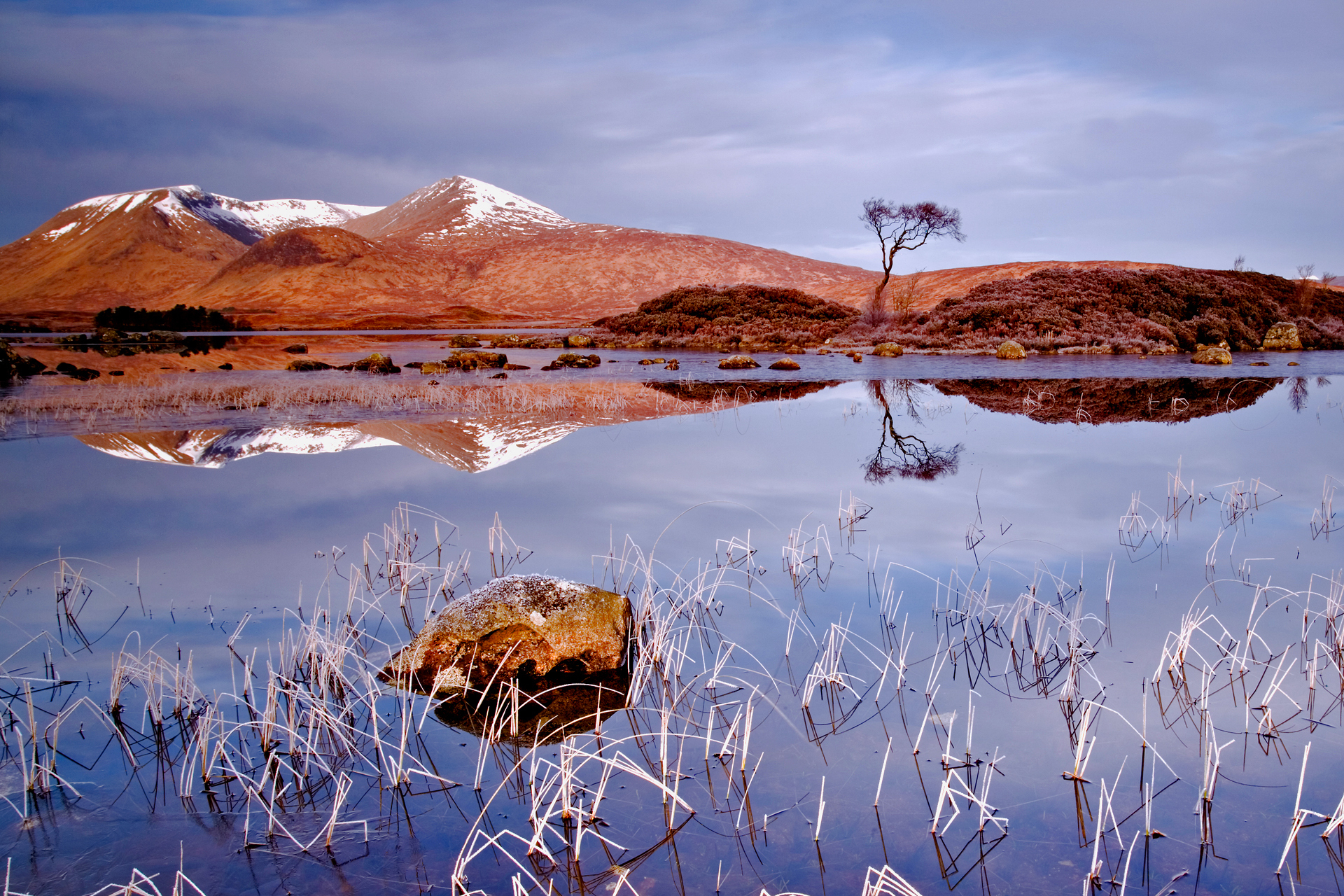 Snow-capped mountains reflected in a lake with reeds HD Wallpaper
