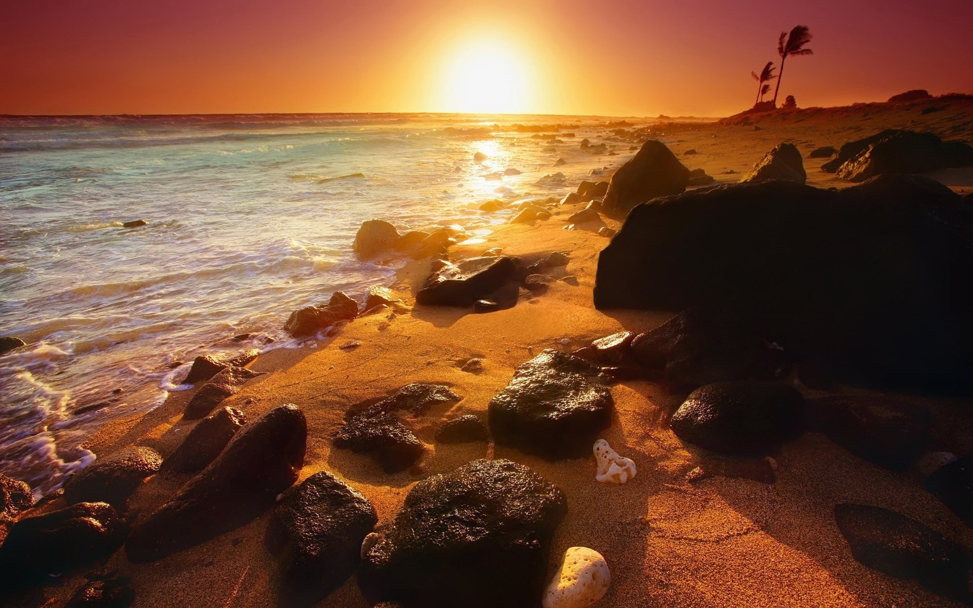 Sunset over a rocky beach with palm trees HD Wallpaper