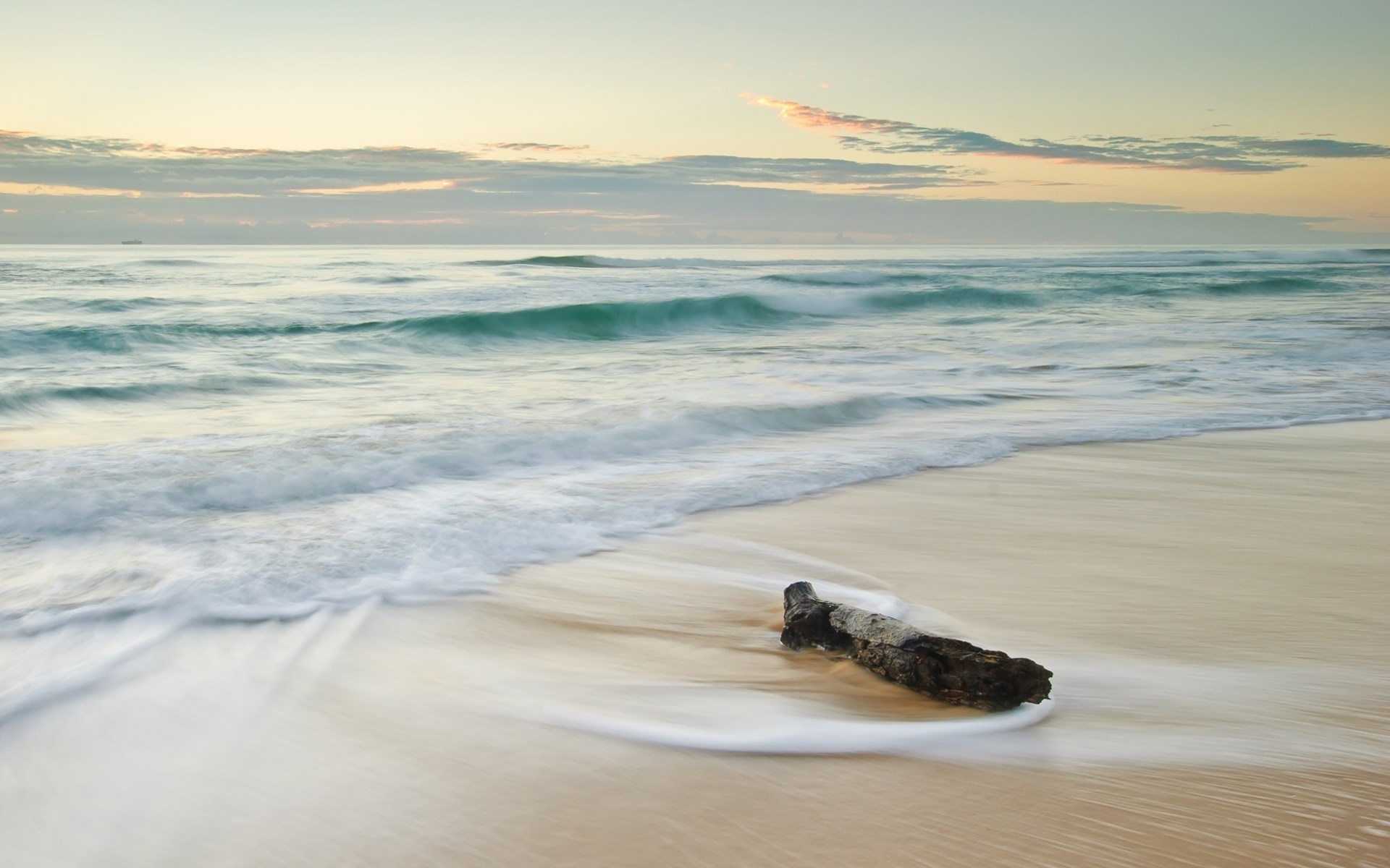 Driftwood on a sandy beach with ocean waves at sunrise HD Wallpaper