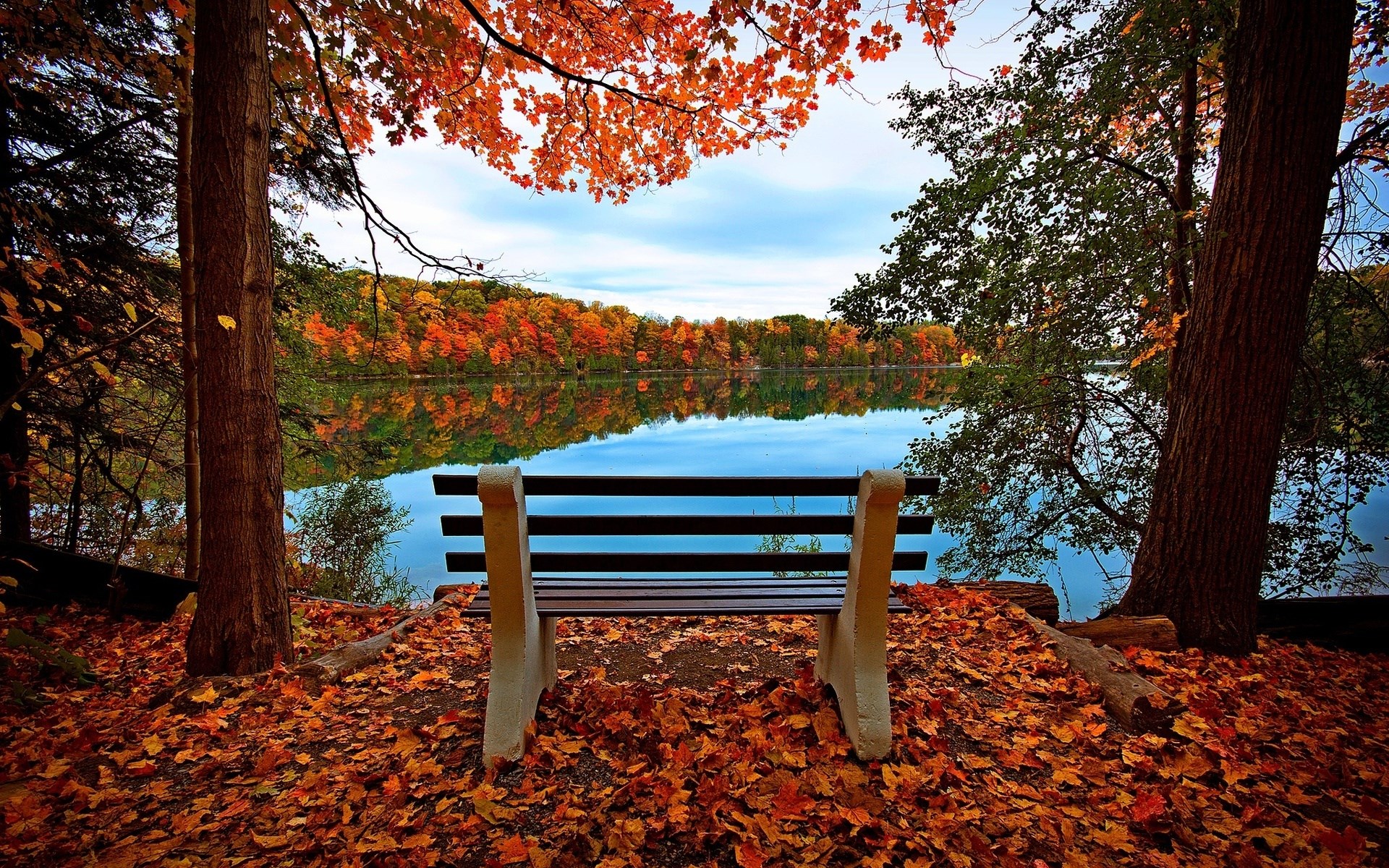 Bench overlooking a lake during autumn HD Wallpaper