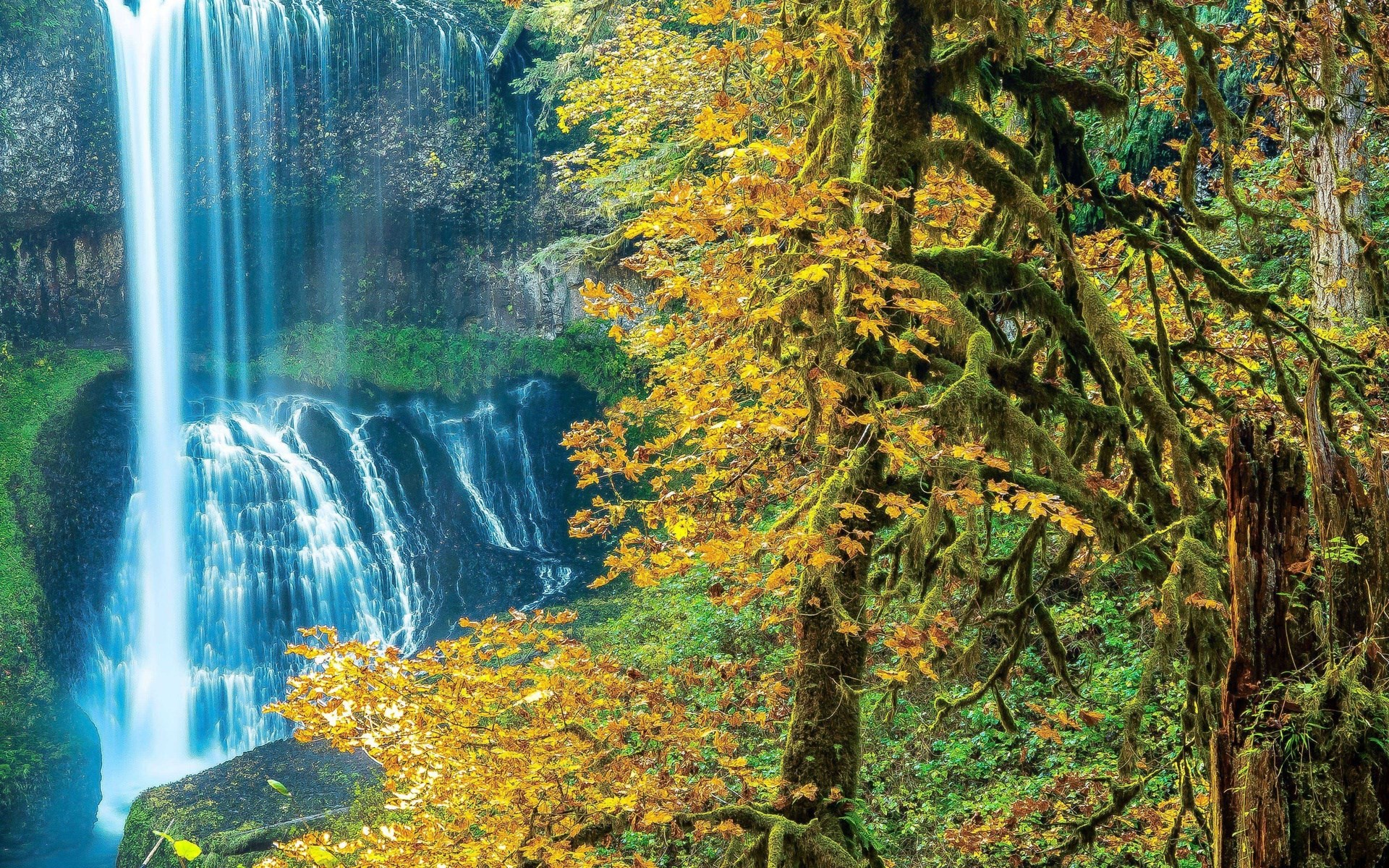 Waterfall in a moss-covered forest during autumn HD Wallpaper