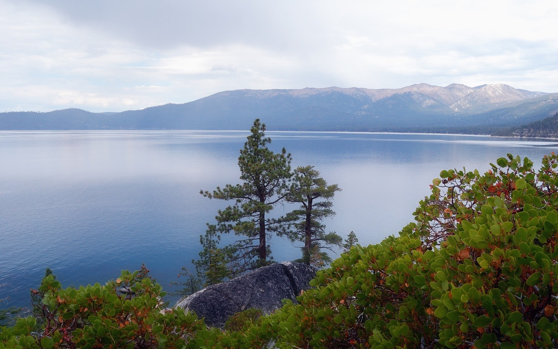 Lake Tahoe with Mountains and Trees HD Wallpaper