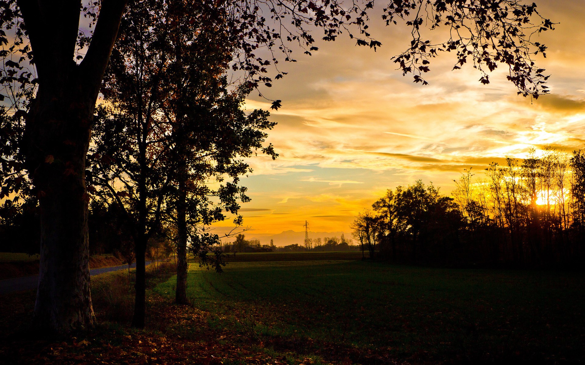 Sunset over a field with trees and mountains HD Wallpaper