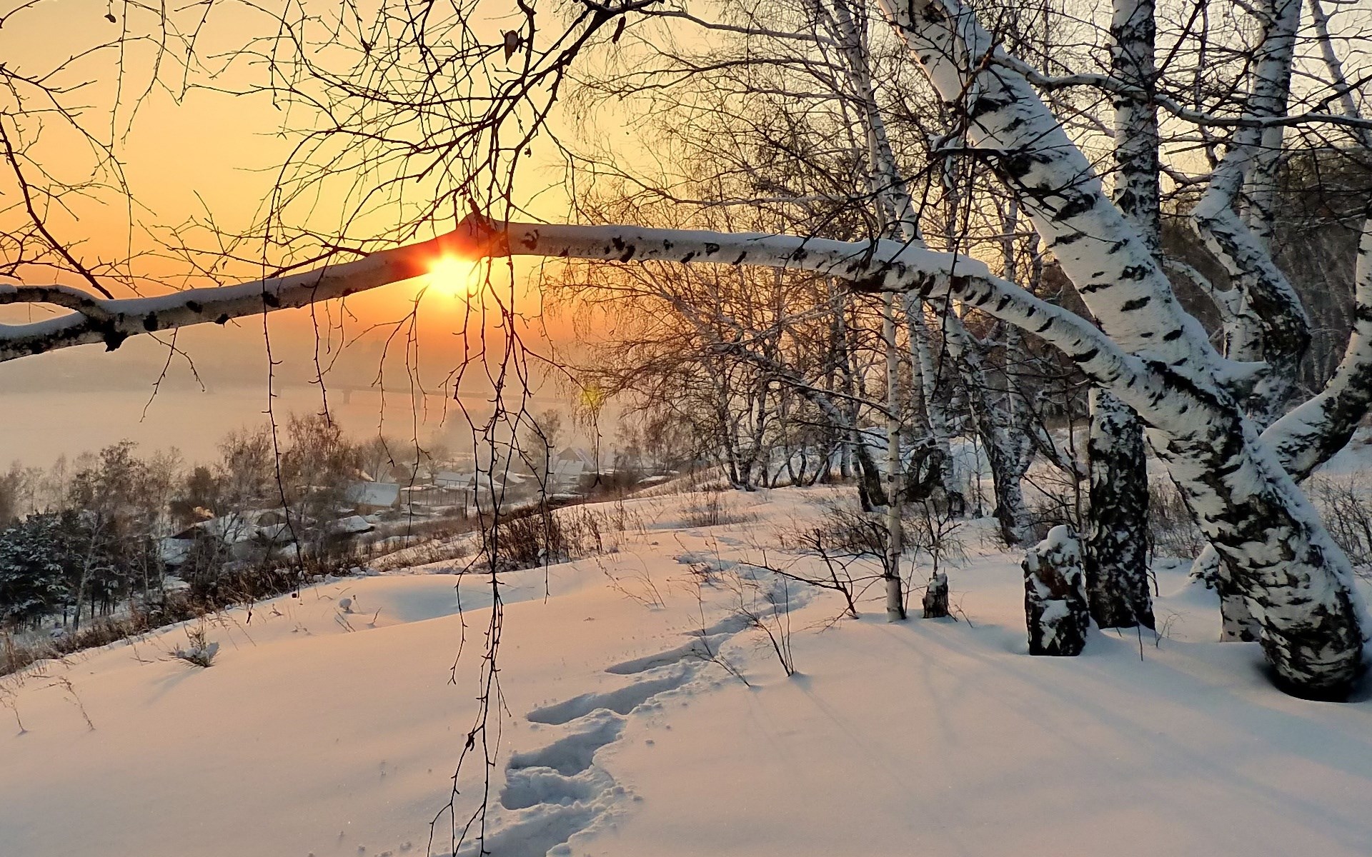 Winter sunset over a snowy landscape with birch trees HD Wallpaper