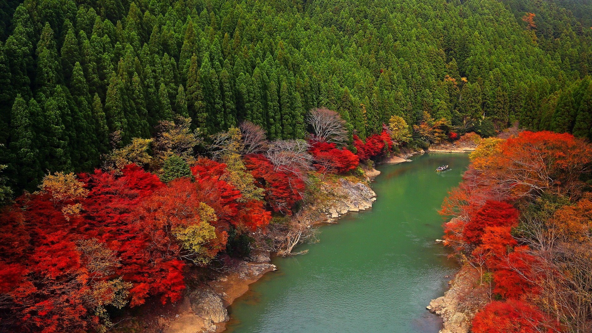 River flowing through a forest with autumn foliage HD Wallpaper