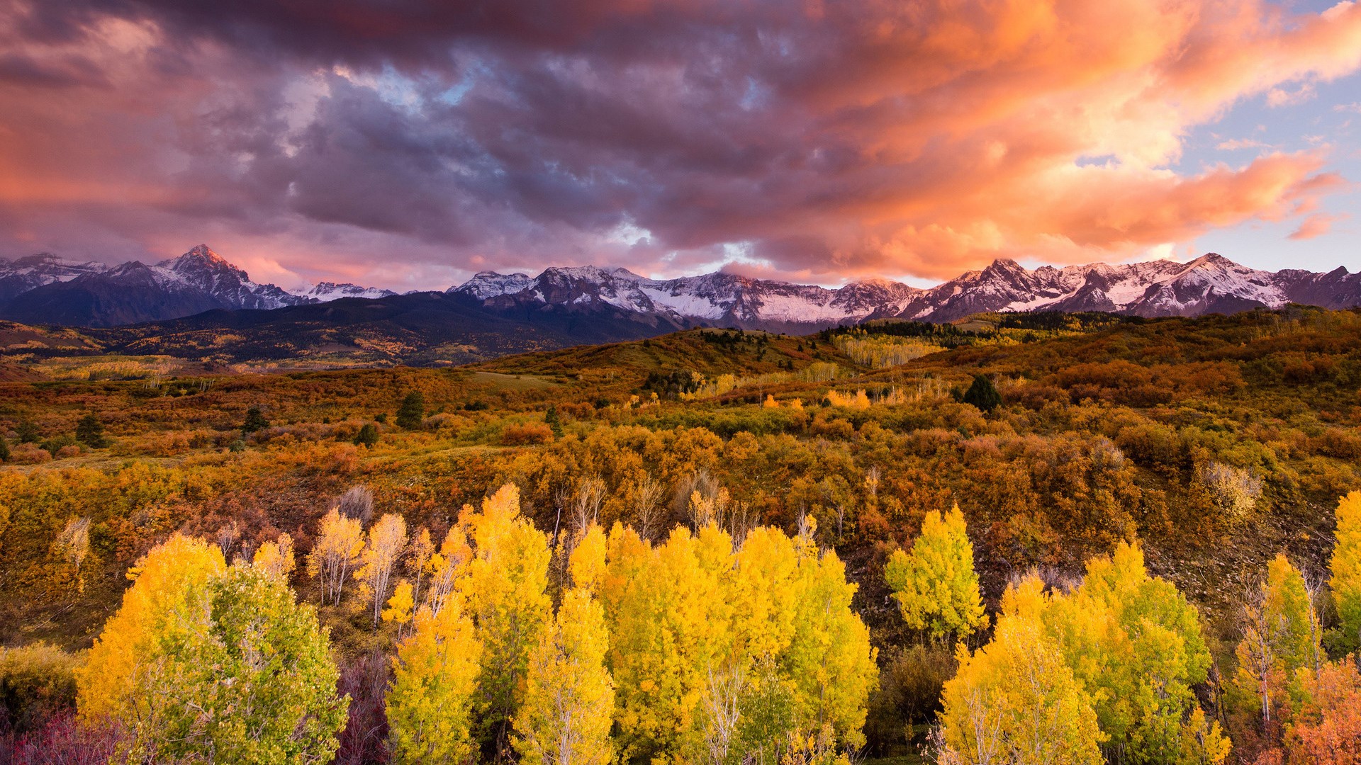 Mountain range with autumn trees and sunset sky HD Wallpaper