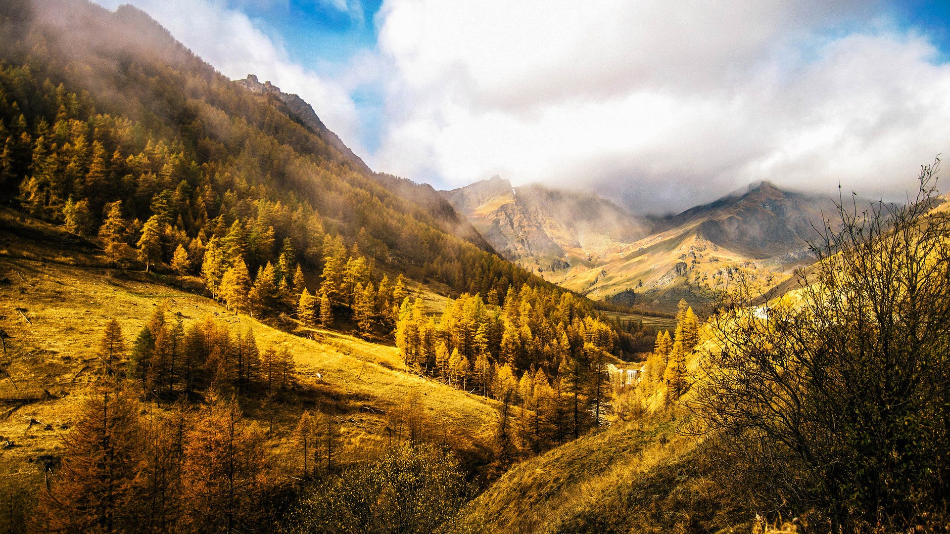 Autumn mountain valley with golden trees and clouds HD Wallpaper