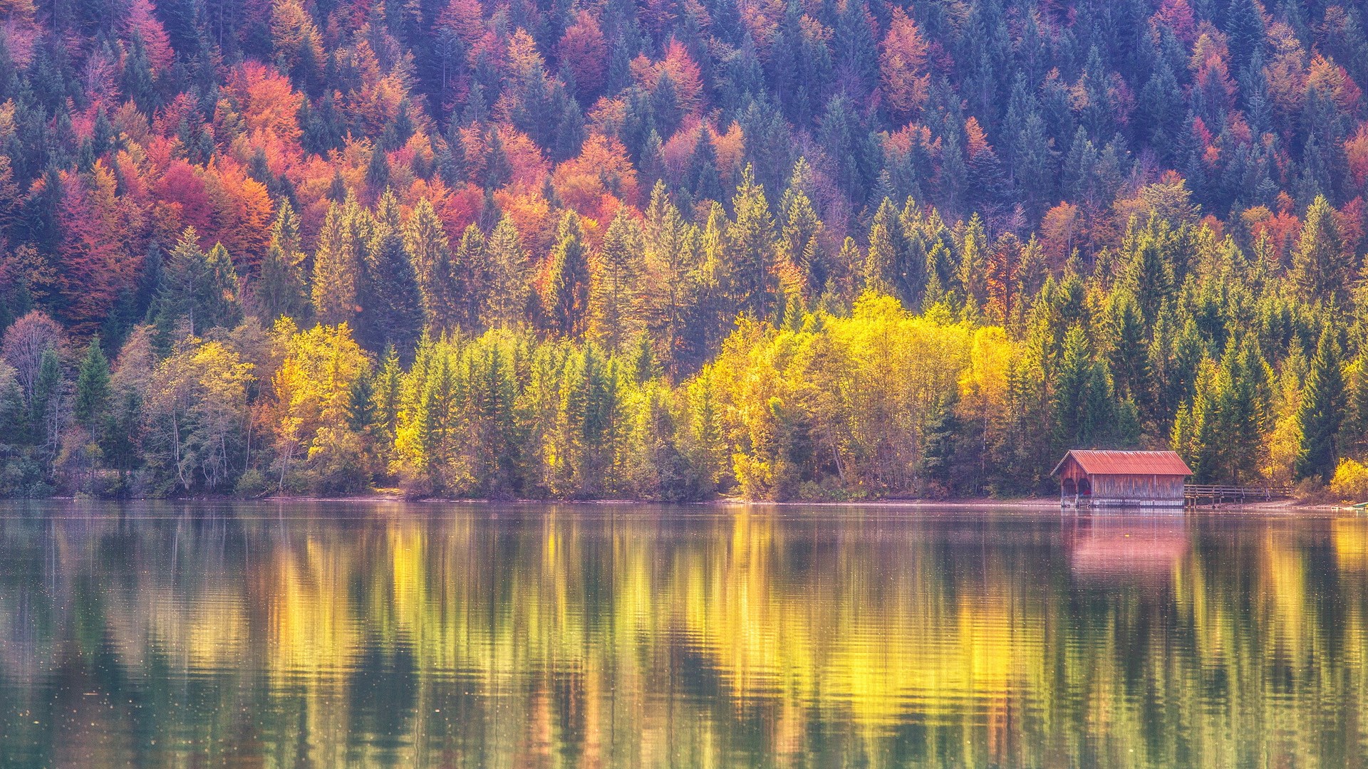 Autumn forest reflected in a lake with a boathouse HD Wallpaper