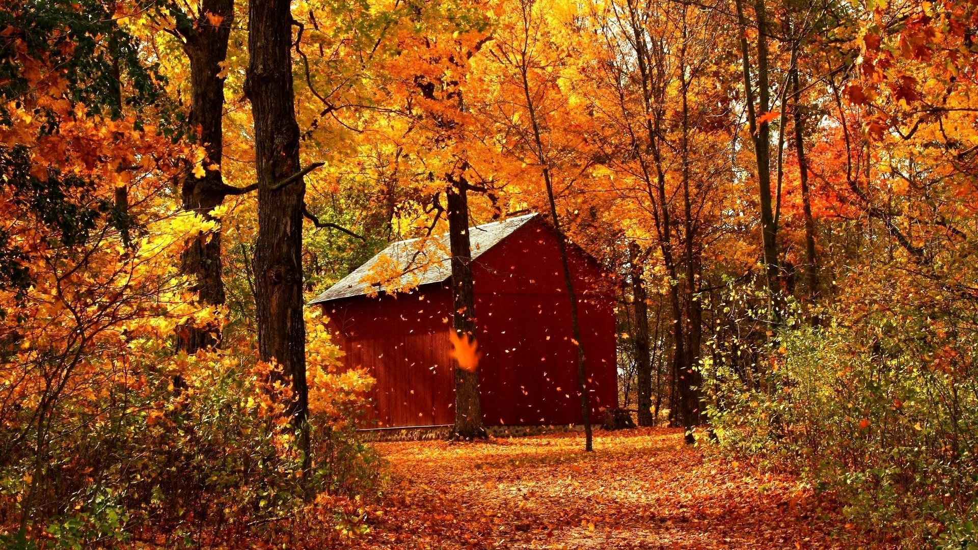 Red barn in autumn forest with falling leaves HD Wallpaper