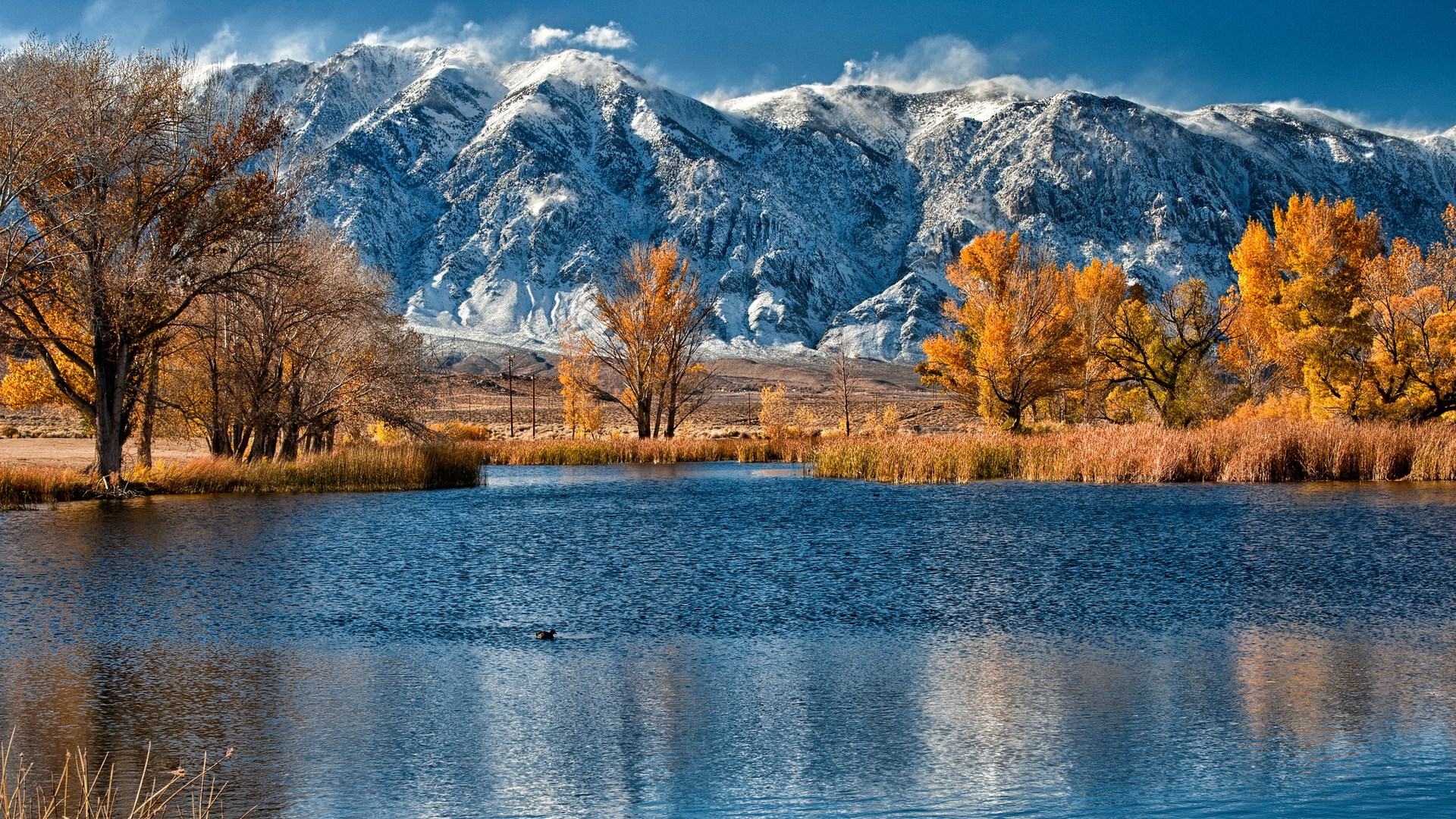 Lake and Snowy Mountains in Autumn HD Wallpaper