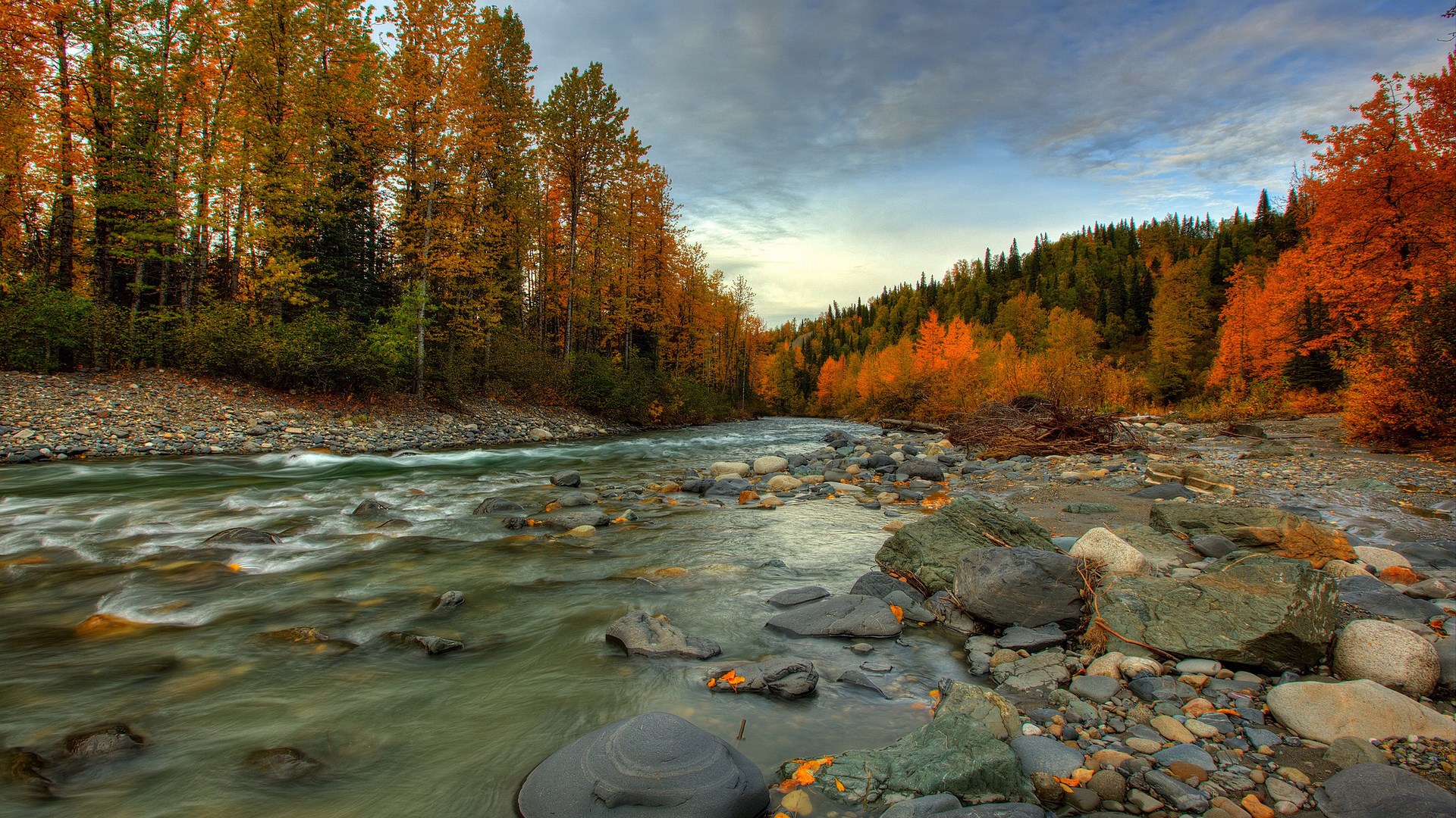 River flowing through autumn forest with rocky shore HD Wallpaper
