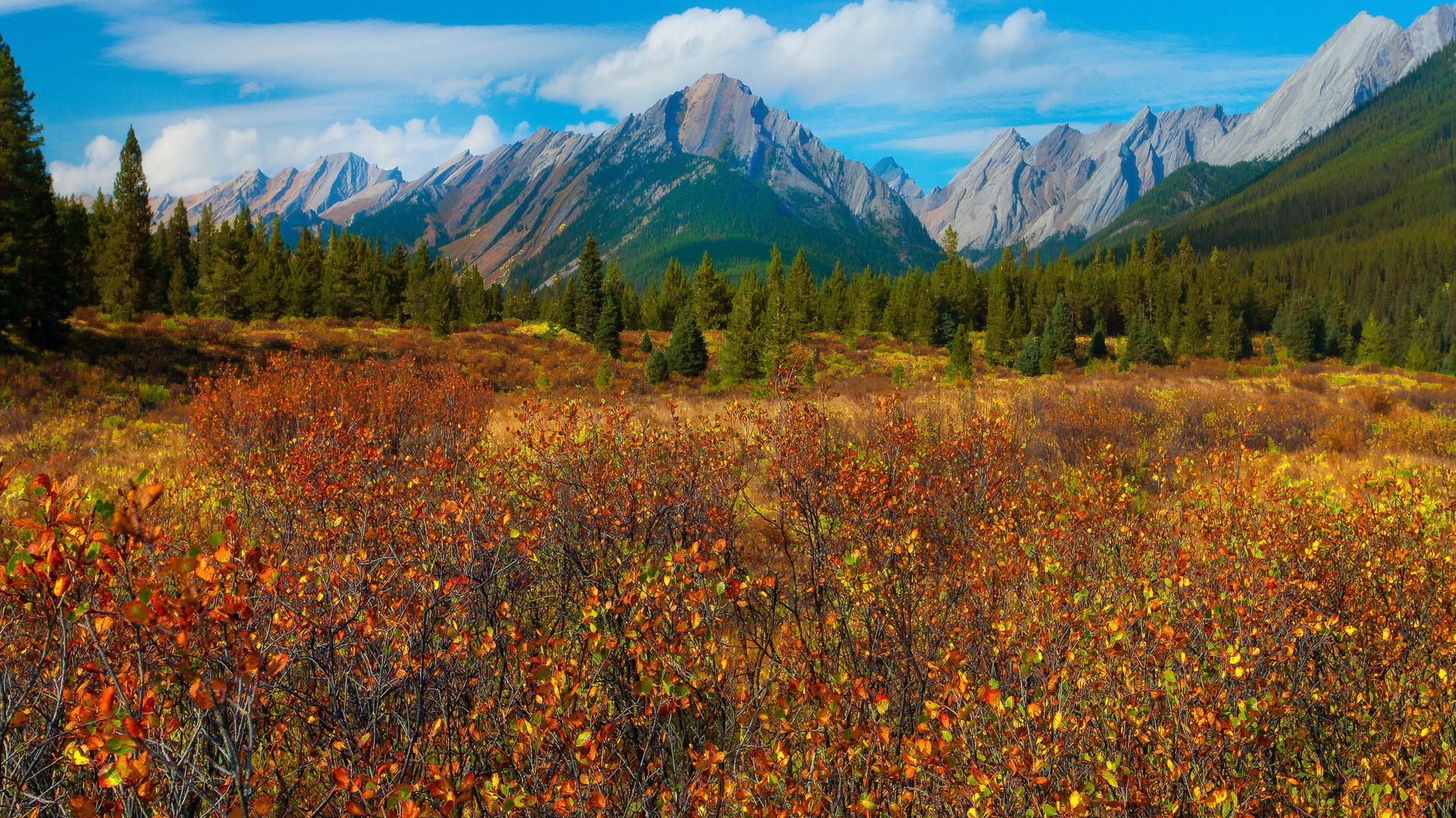 Autumn landscape with mountains and forest HD Wallpaper