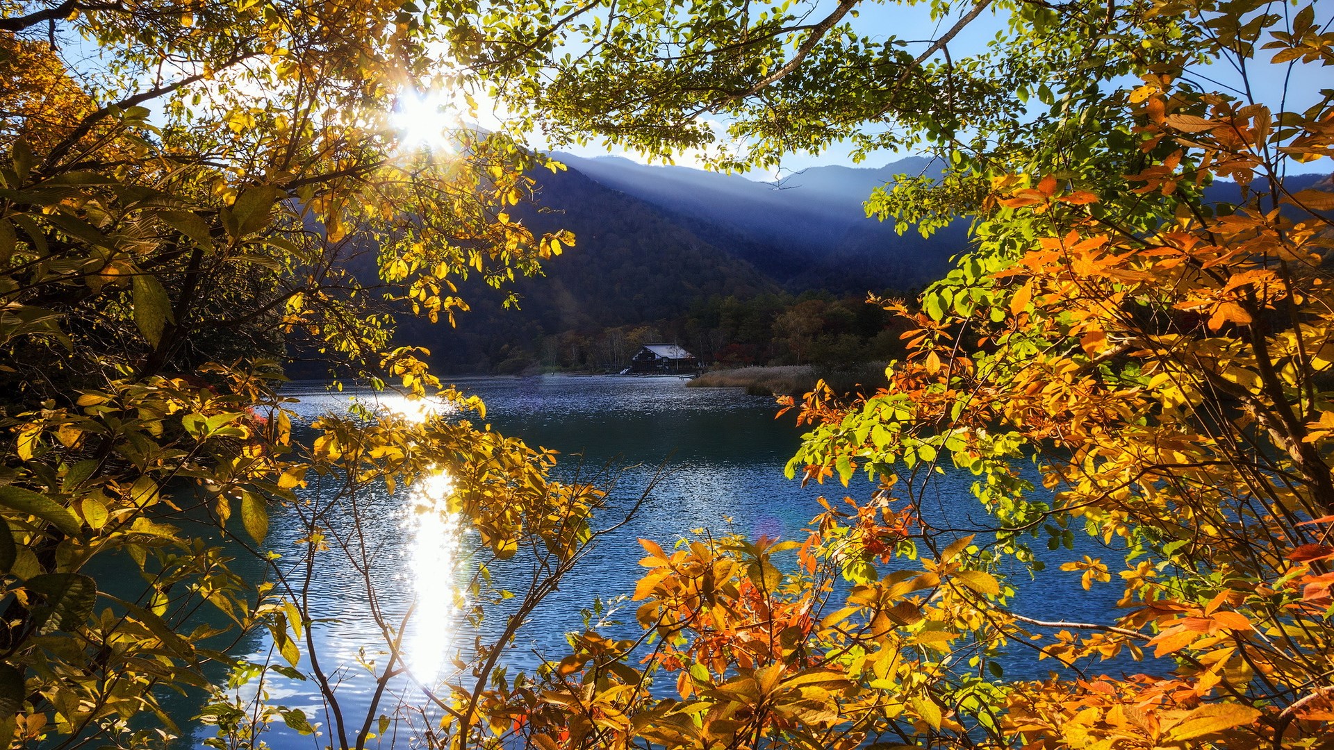 Autumn trees frame a lake with a distant house HD Wallpaper