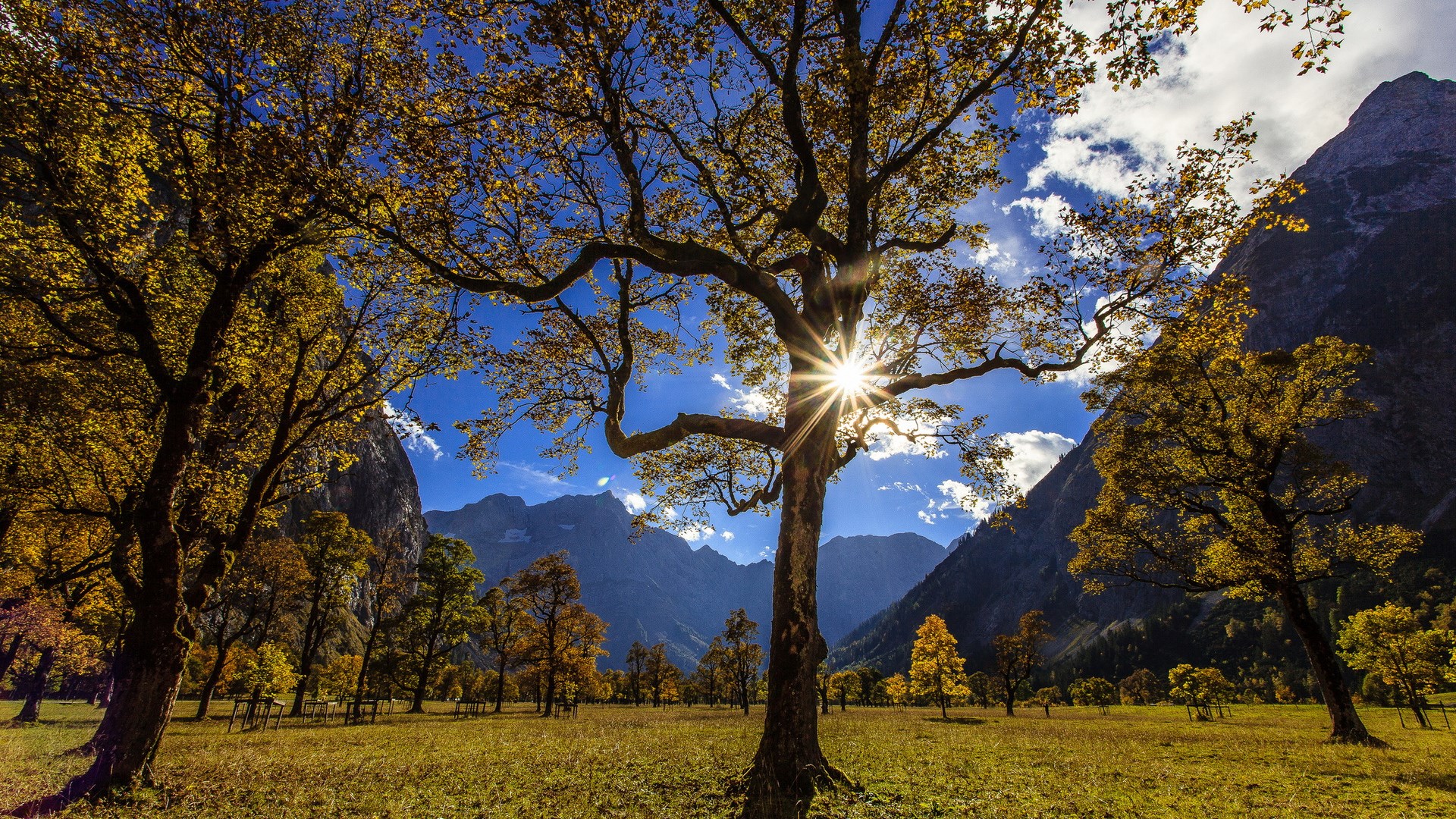 Autumn trees in a mountain valley with sunburst HD Wallpaper