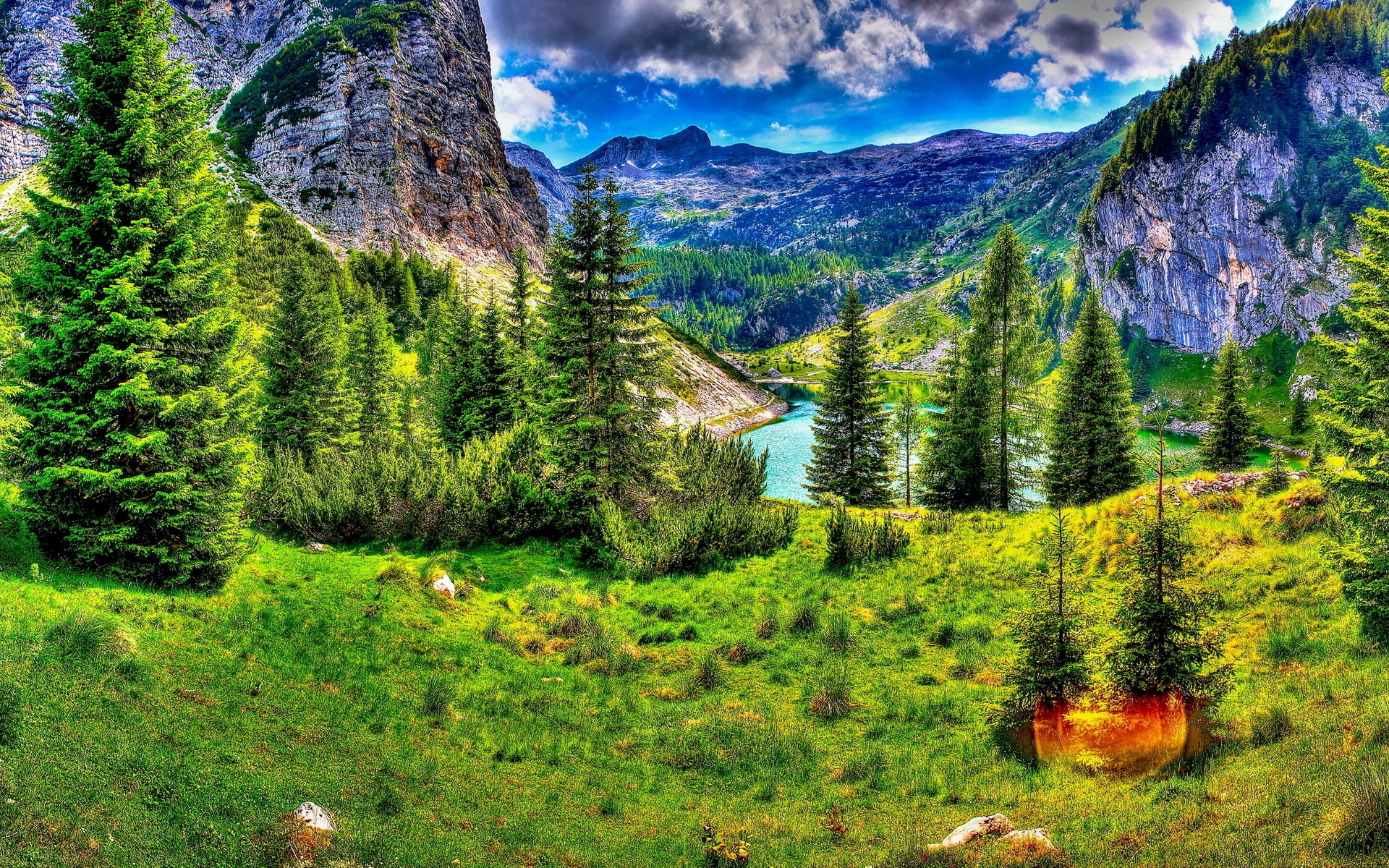 Mountain valley with lake and pine trees HD Wallpaper