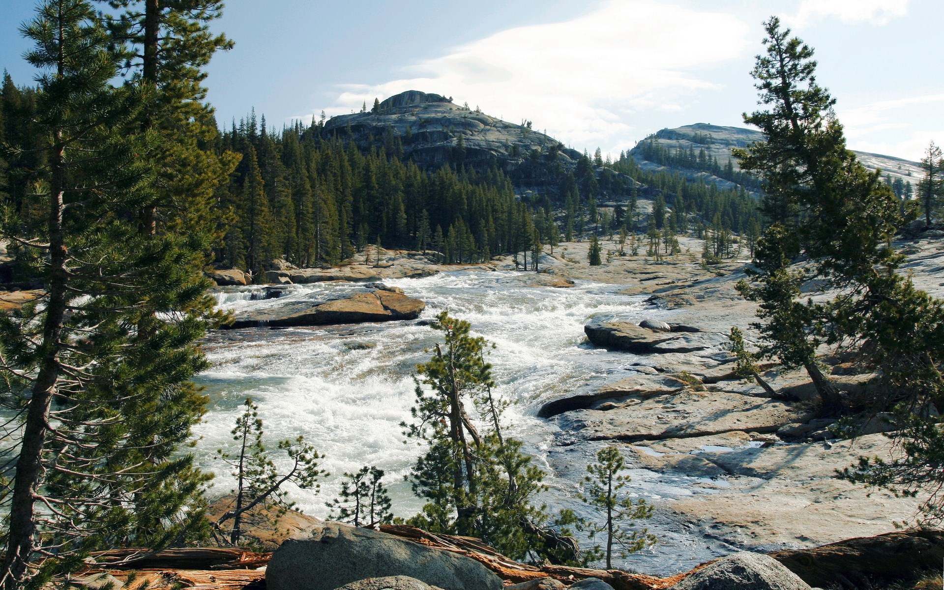River flowing through rocky terrain with pine trees HD Wallpaper