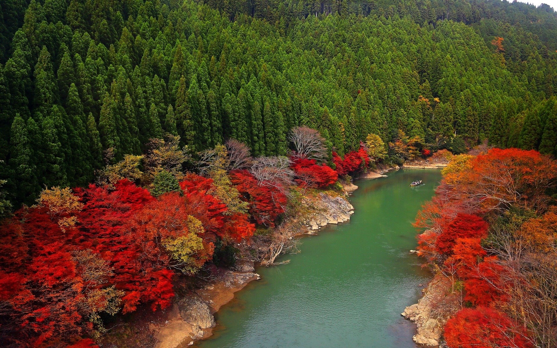Autumn forest with a river and a boat HD Wallpaper