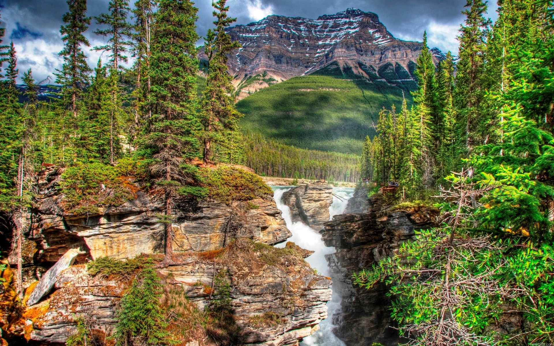 Waterfall in a Forest with Mountains HD Wallpaper