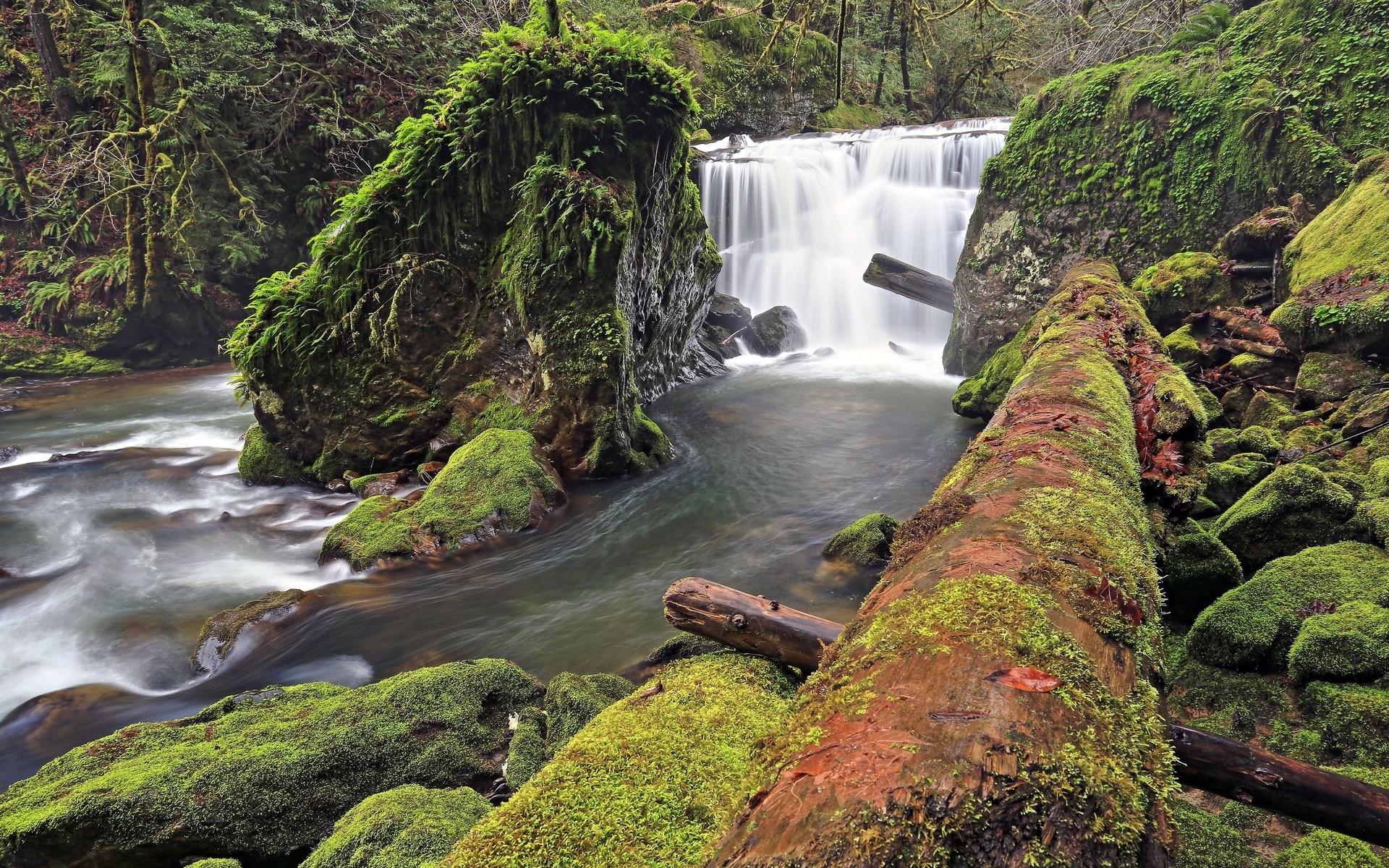 Mossy rocks and fallen log by a waterfall HD Wallpaper