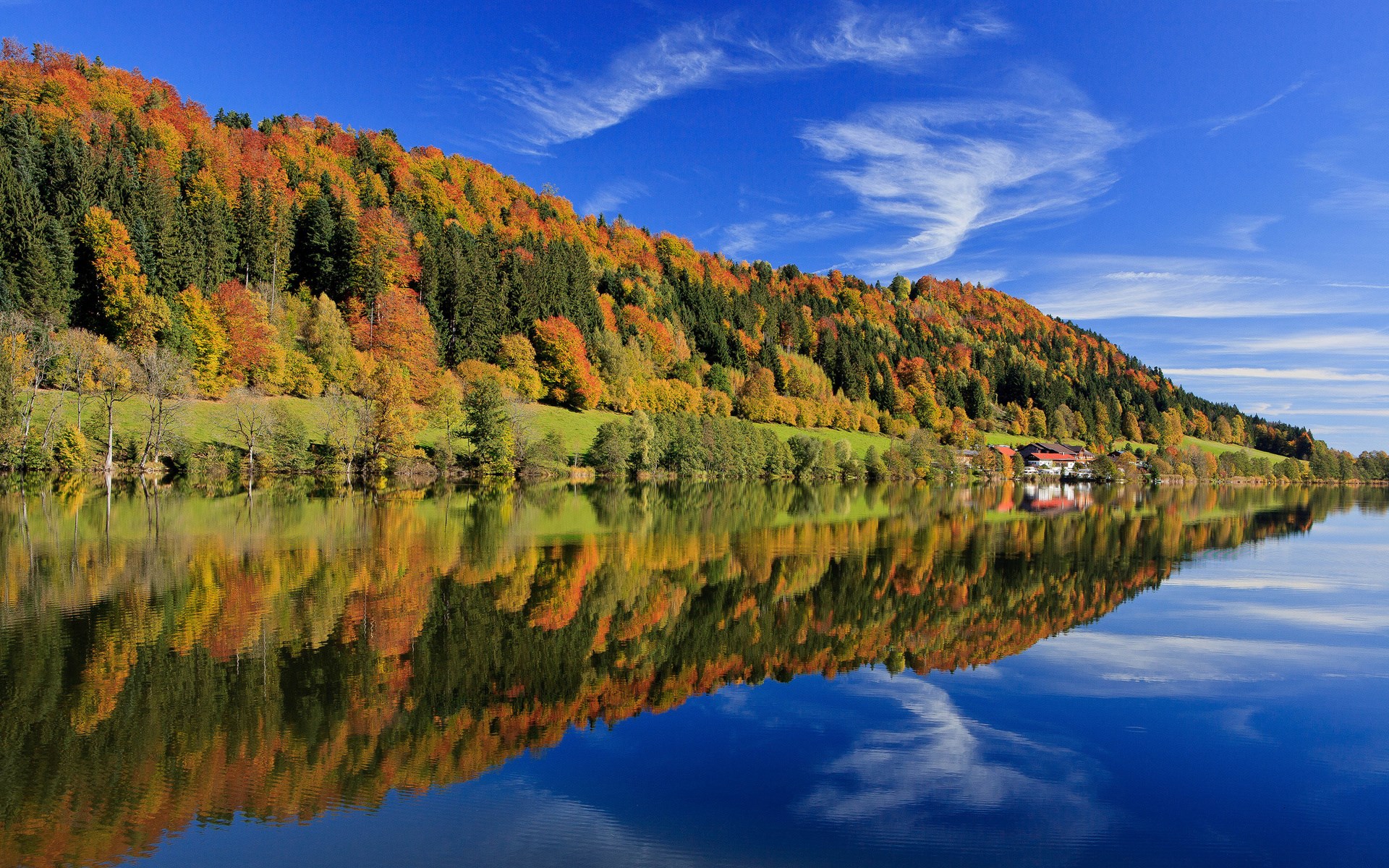 Autumn forest reflected in a calm lake under a blue sky HD Wallpaper