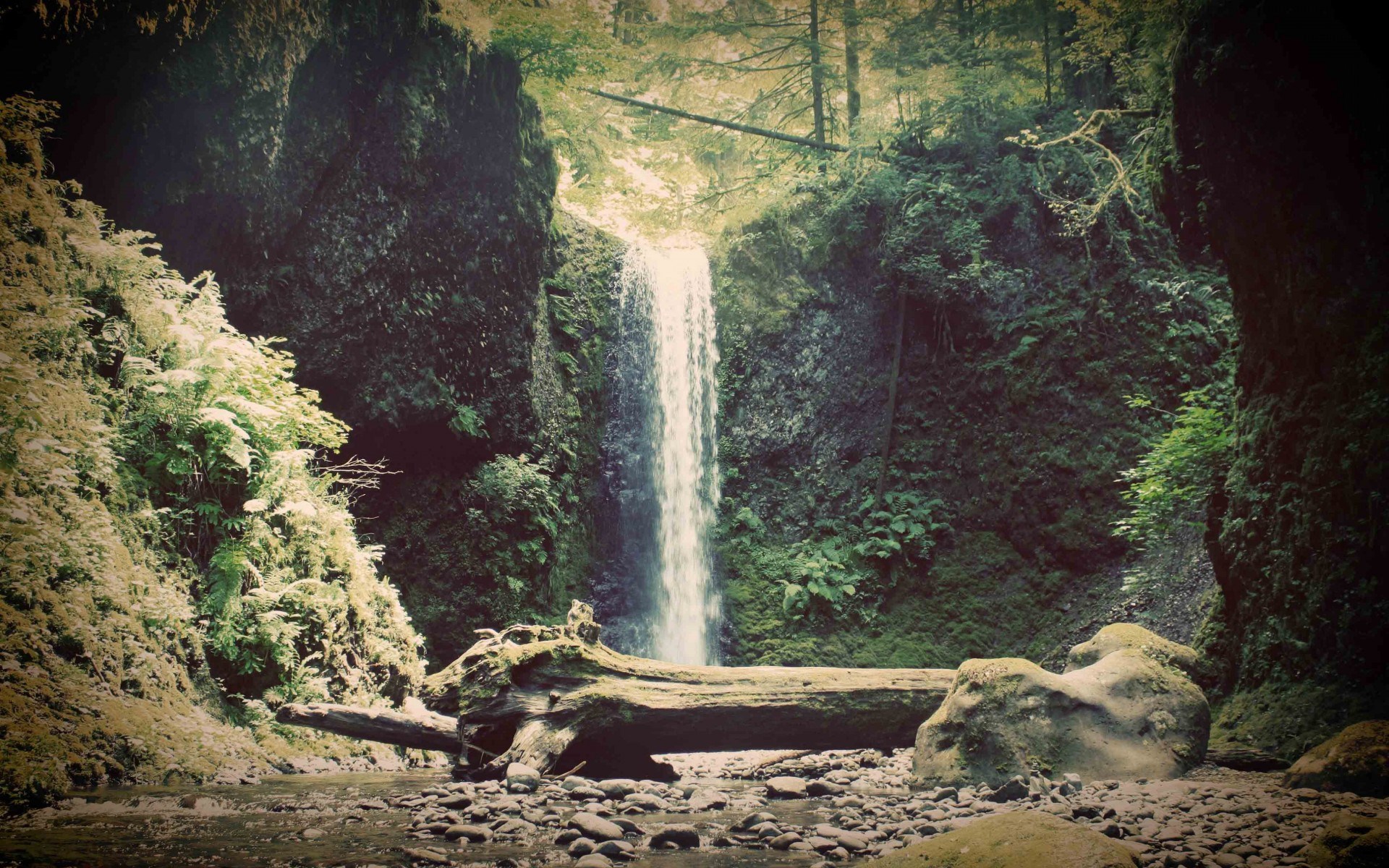 Waterfall in a mossy forest with a fallen log HD Wallpaper