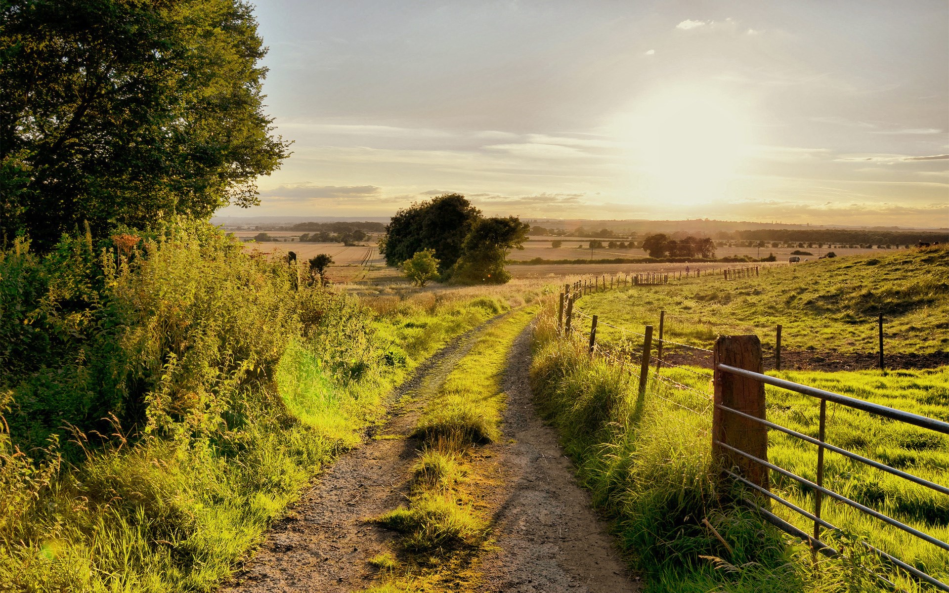 Dirt path through a grassy field at sunset HD Wallpaper