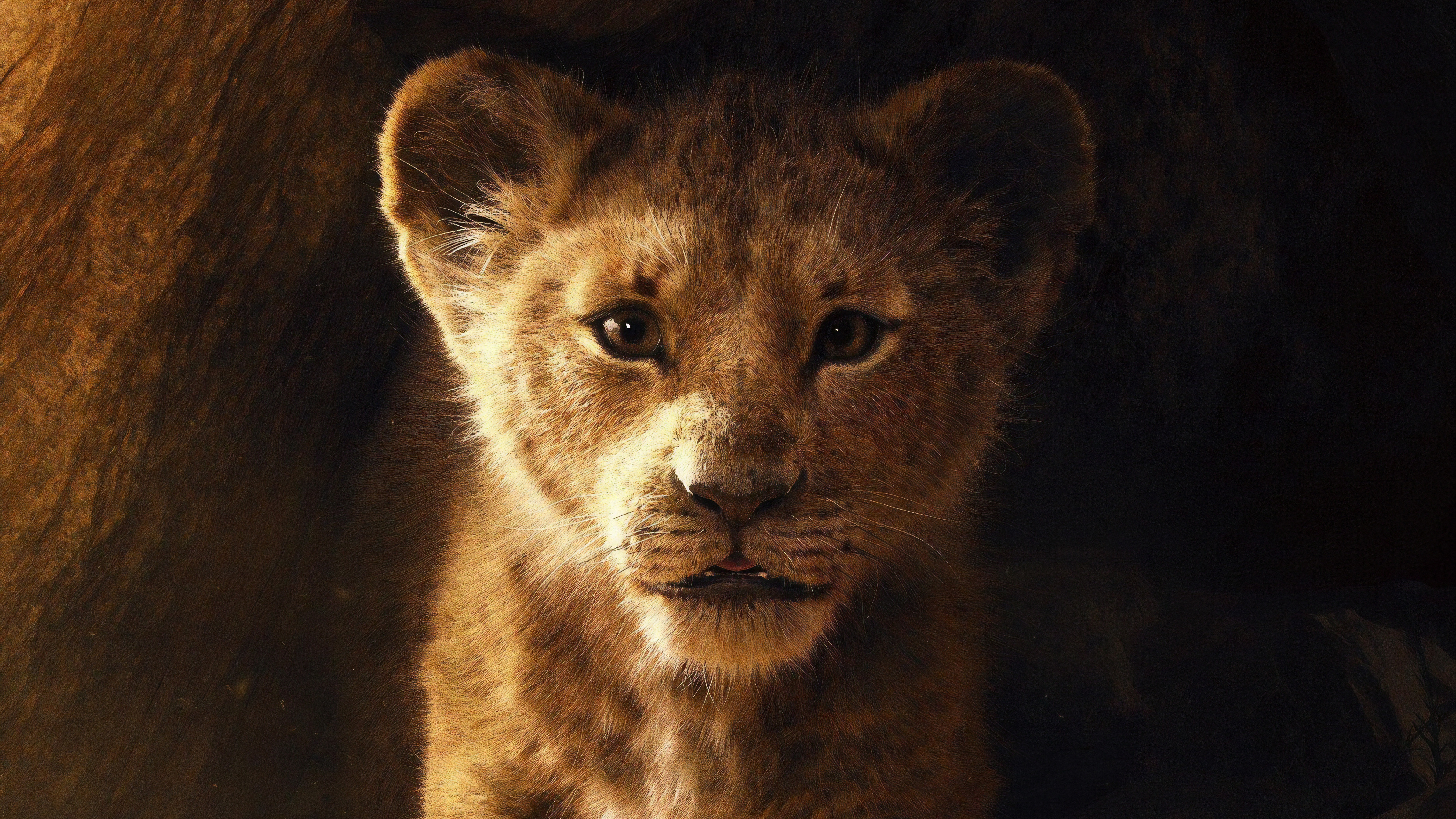 Simba the Lion Cub from The Lion King HD Wallpaper
