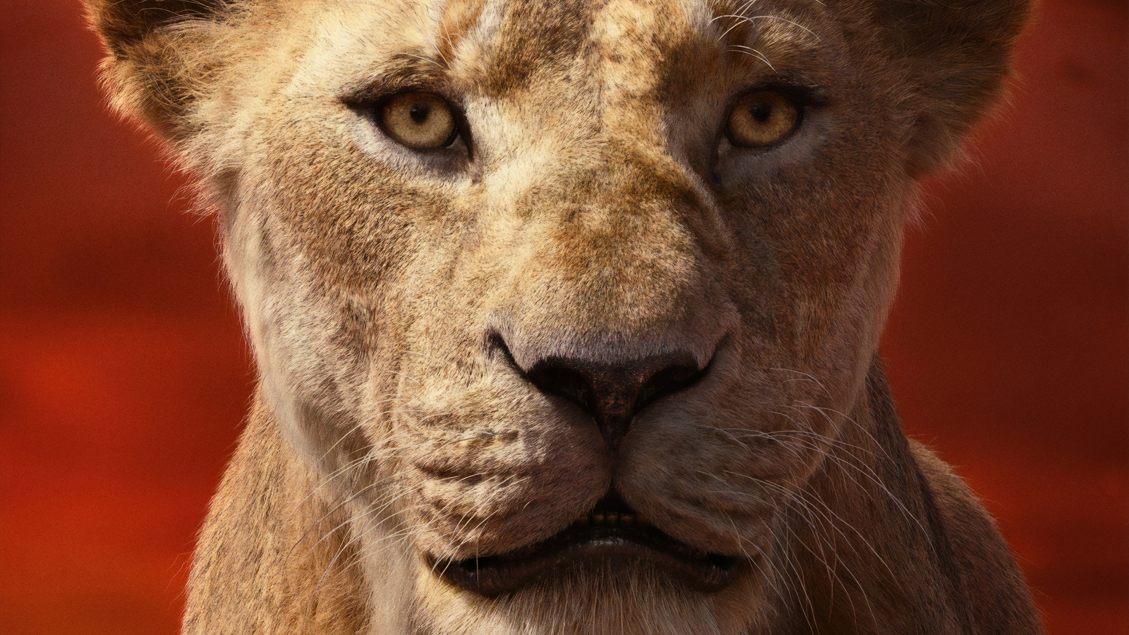 Sarabi from The Lion King 4K HD Wallpaper