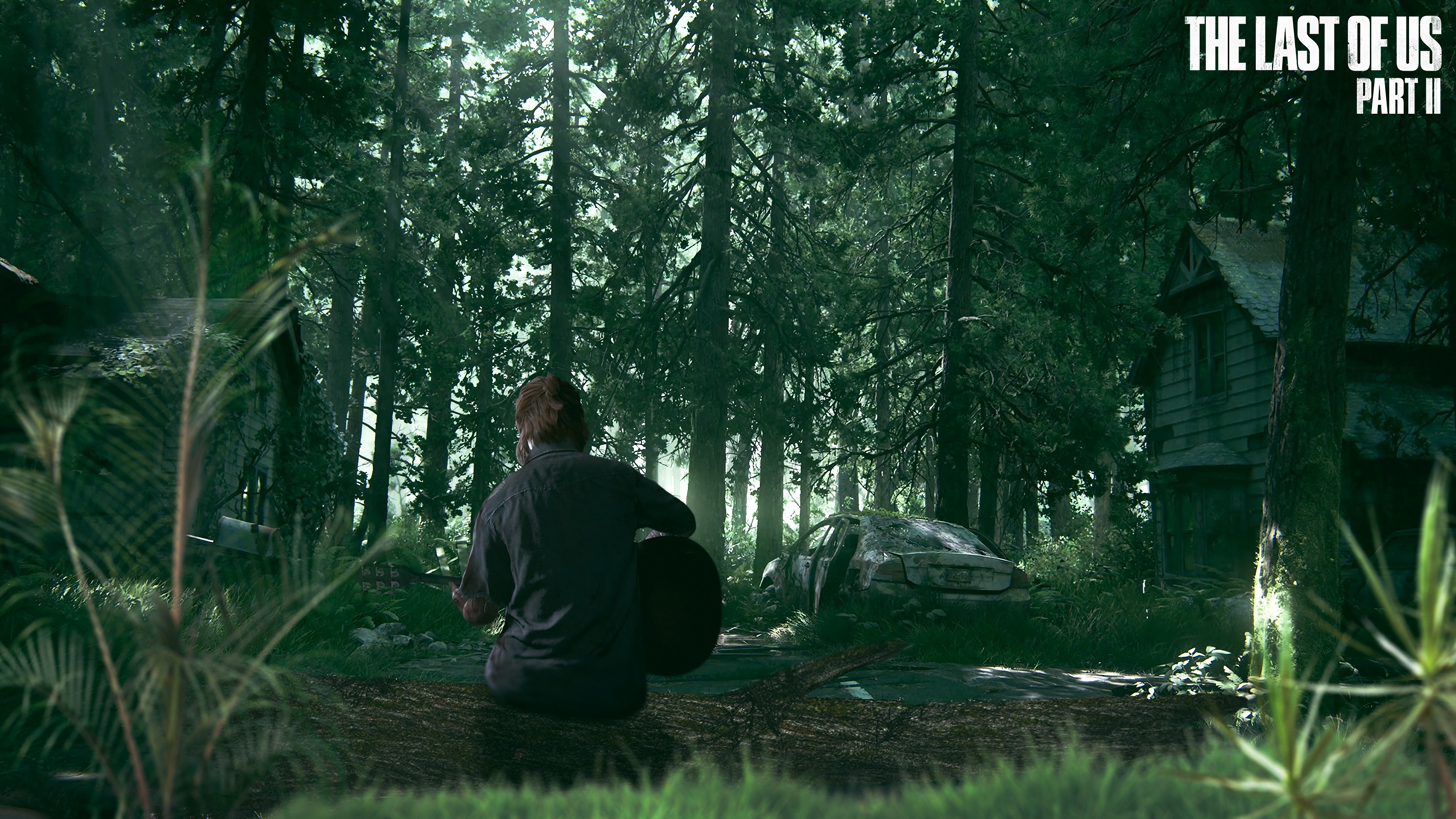 Ellie from The Last of Us Part II in a forest HD Wallpaper