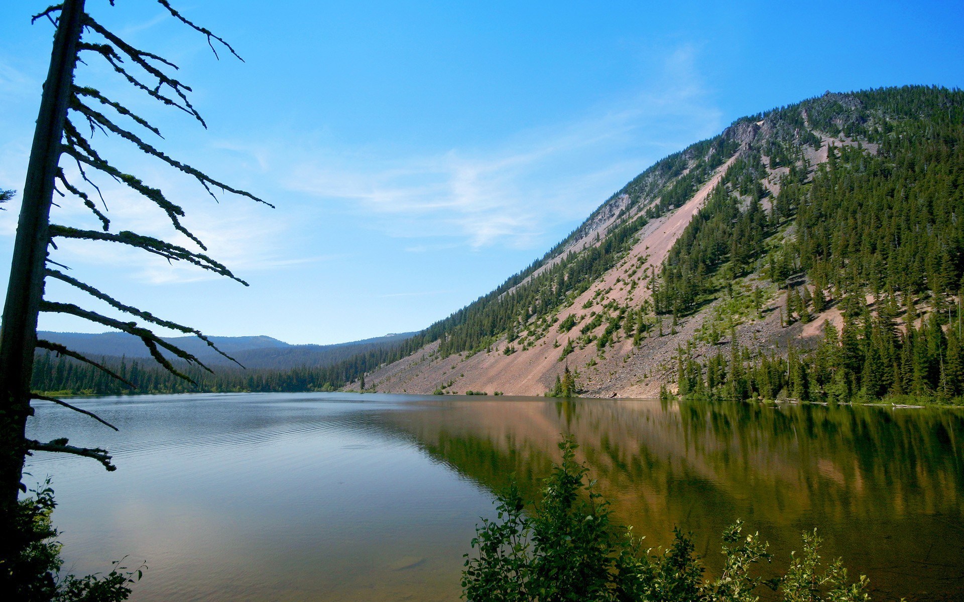 Lake and mountain landscape with dead tree in foreground HD Wallpaper