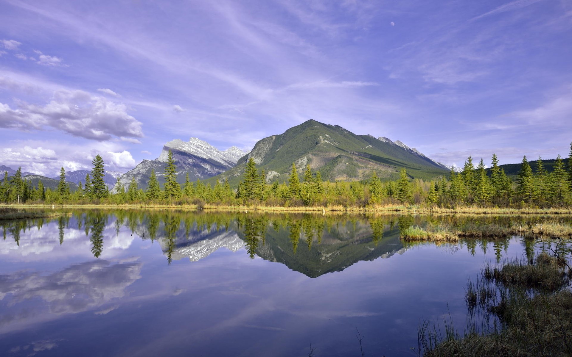 Mountain lake reflection with pine trees and sky HD Wallpaper