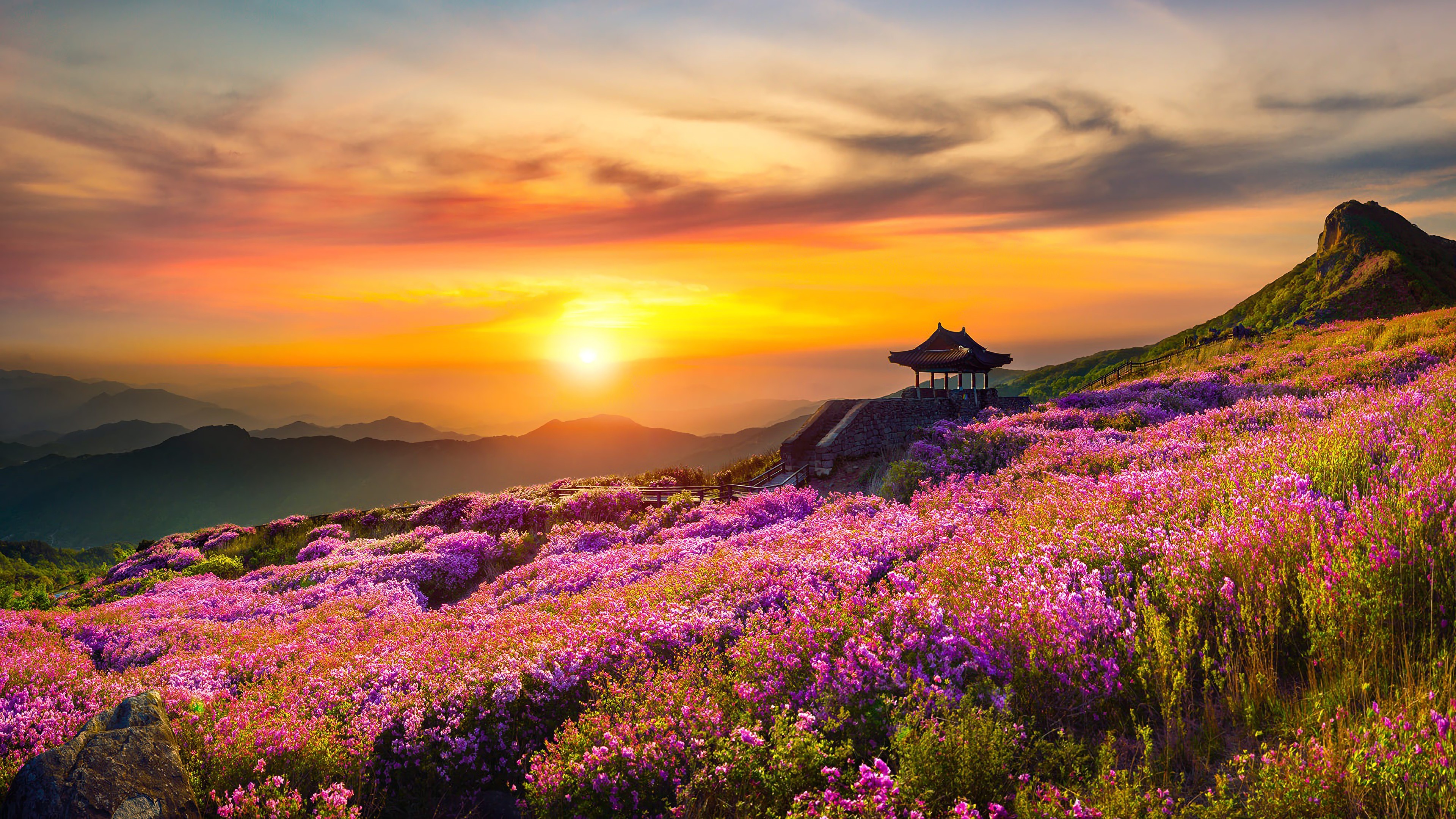 Mountain landscape with flowers and pagoda at sunset 4K HD Wallpaper