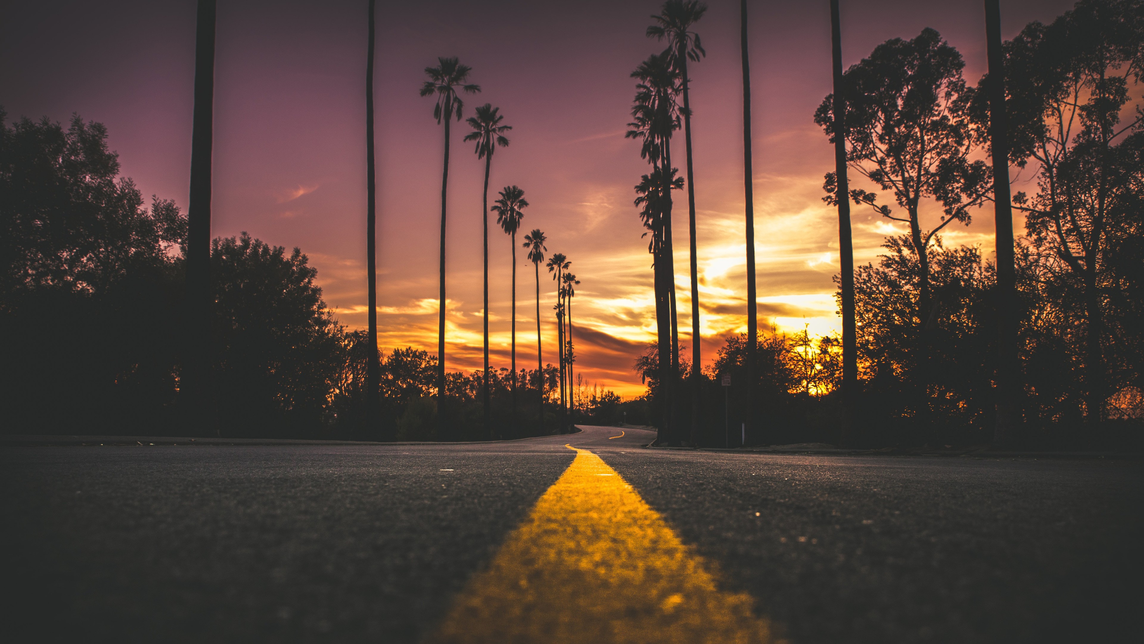 Road with palm trees at sunset, 4K HD Wallpaper