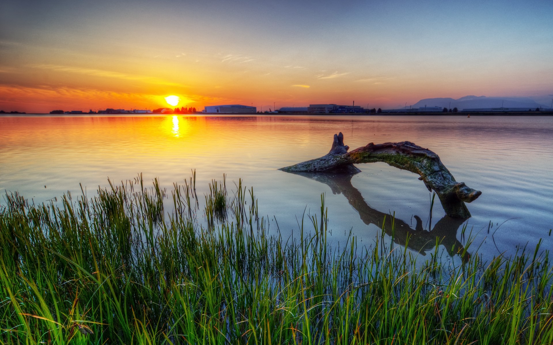 Sunset over a calm body of water with reeds and driftwood HD Wallpaper