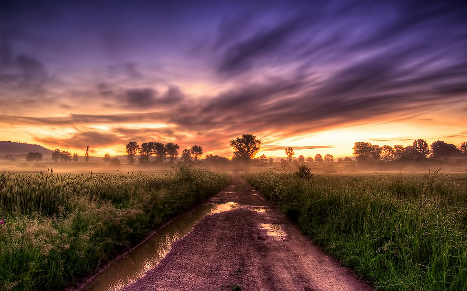 Dirt road through a misty field at sunrise HD Wallpaper