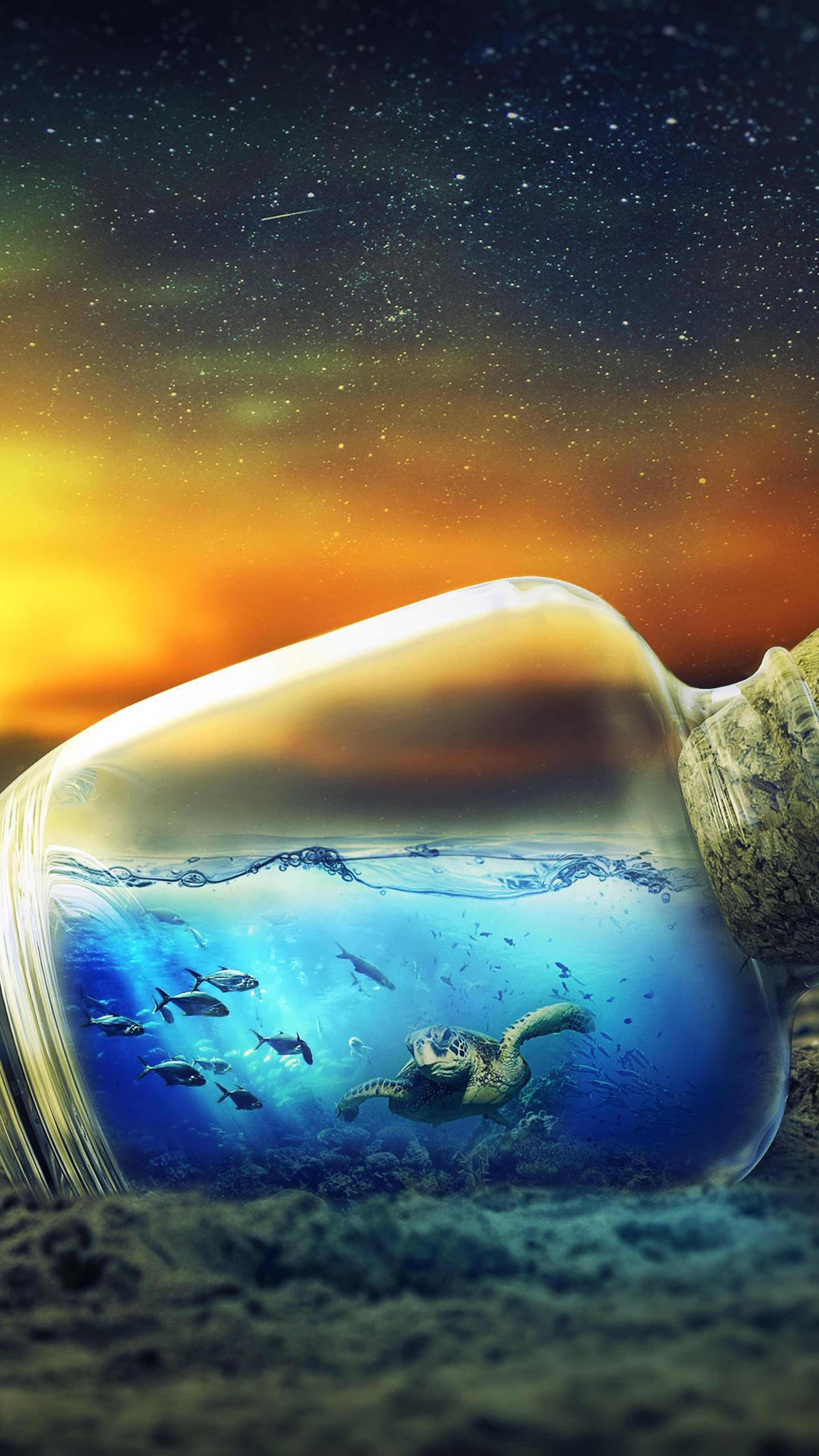 Turtle and fish in a bottle under the stars HD Phone Wallpaper