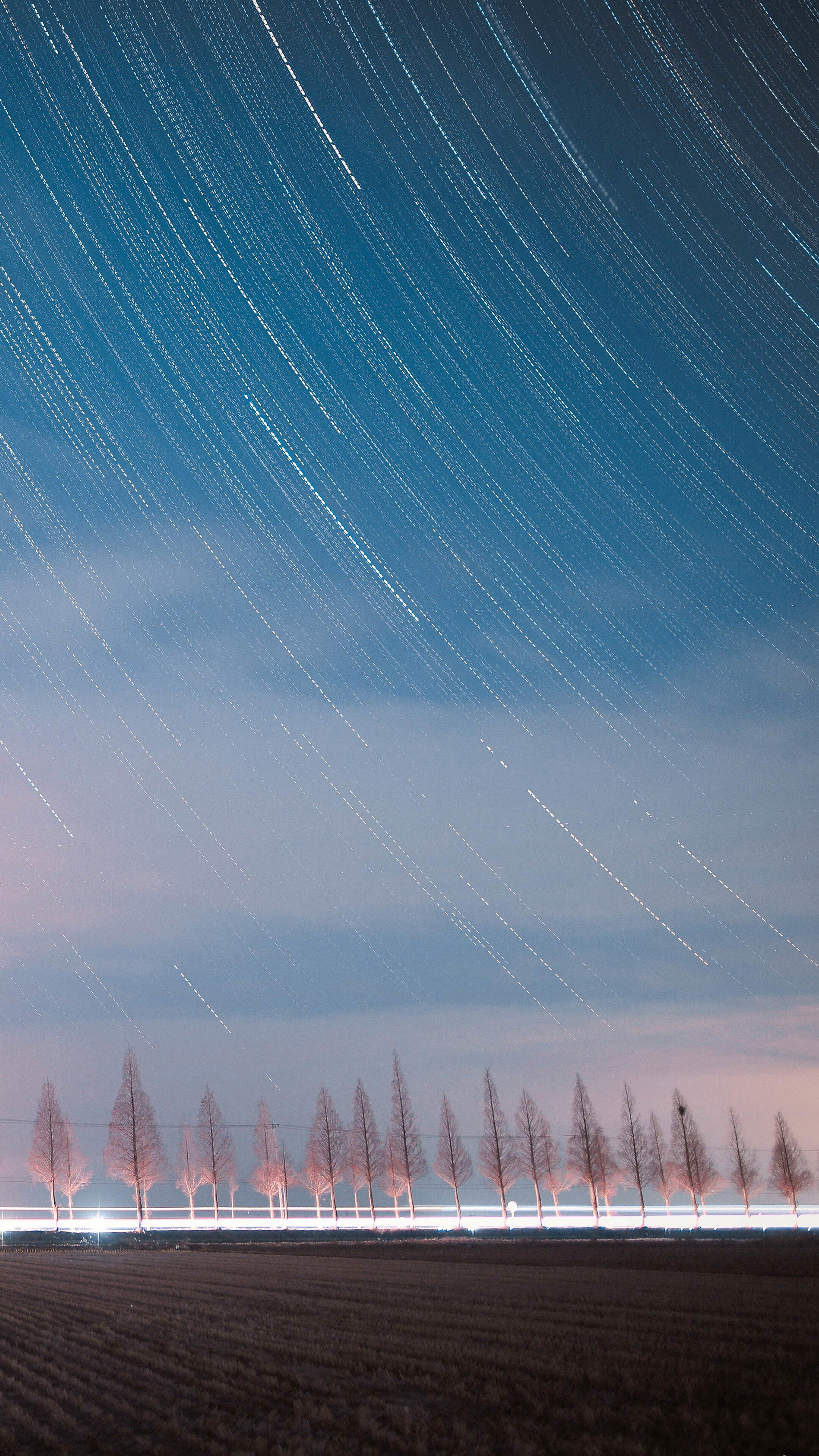 Star trails over a field and trees at night HD Phone Wallpaper