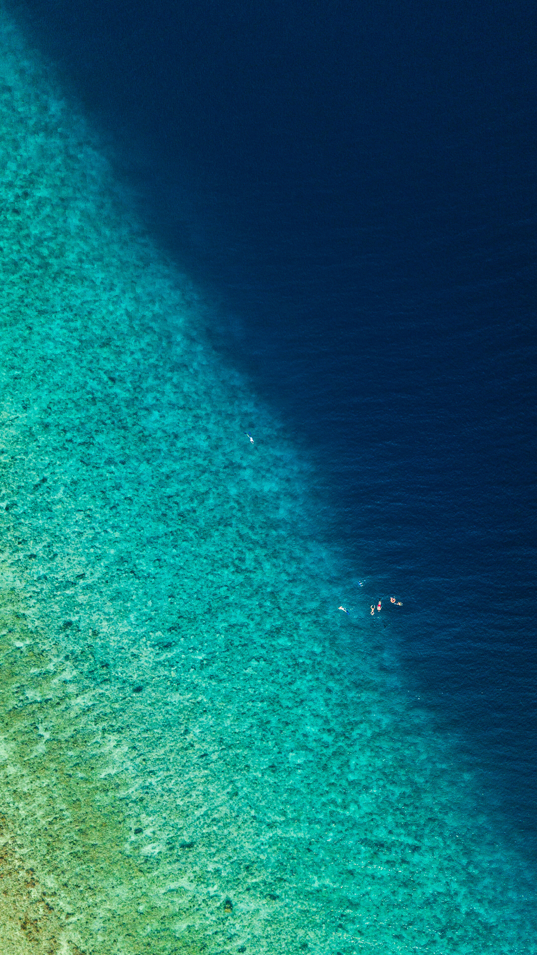 Aerial view of a coral reef with swimmers HD Phone Wallpaper