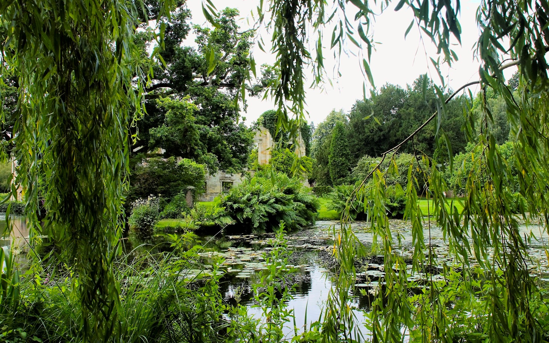 Ruins in a garden with a pond and weeping willow HD Wallpaper