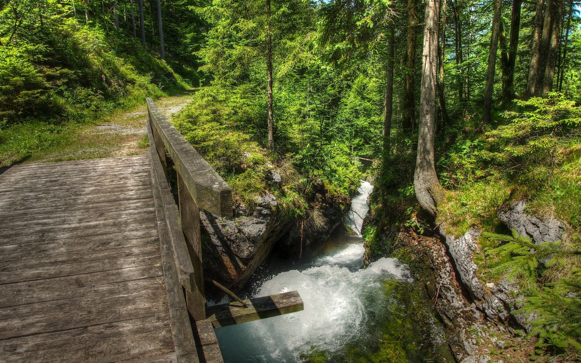 Wooden bridge over a forest stream HD Wallpaper