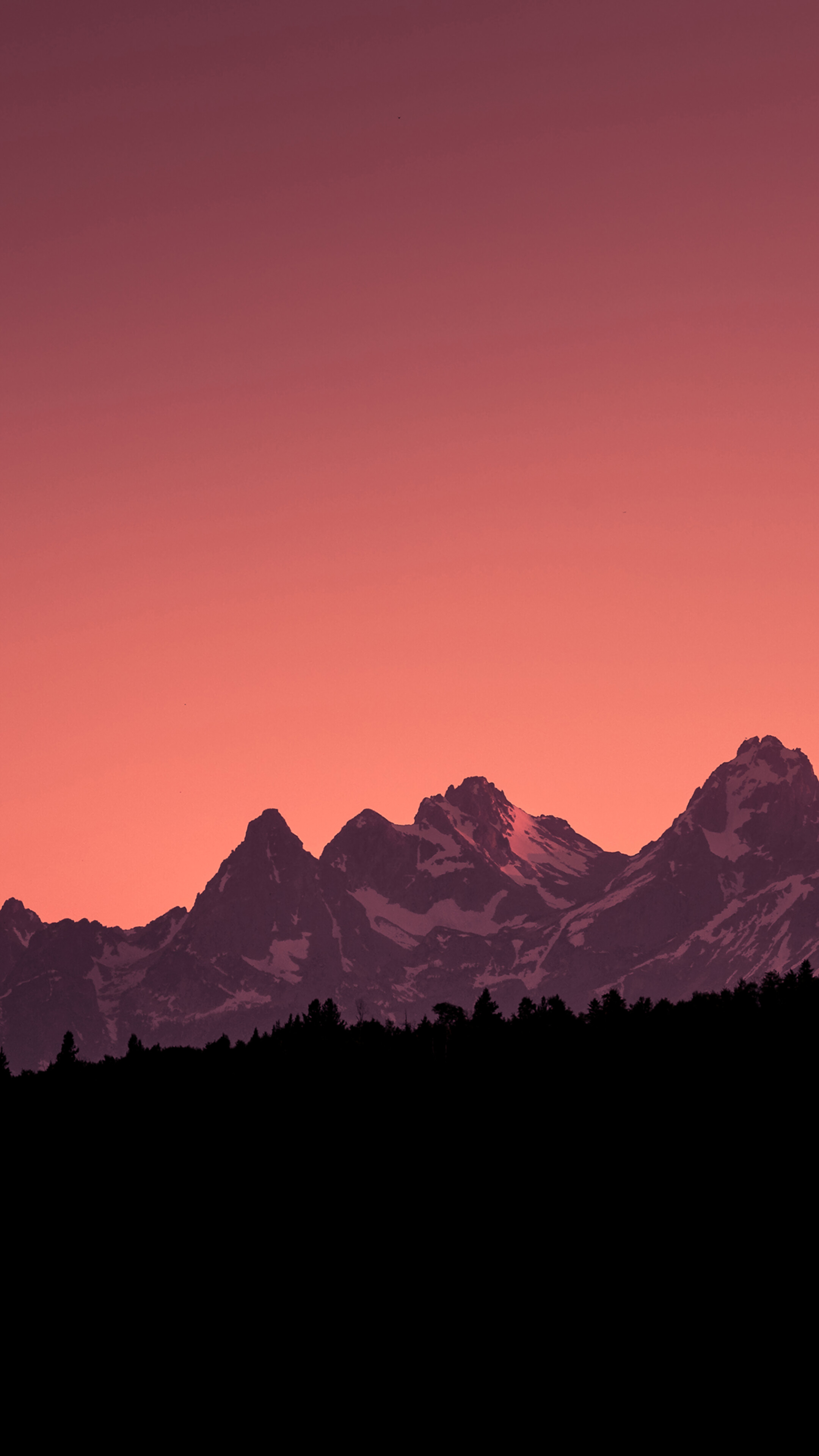 Mountain landscape with forest silhouette and sunset sky HD Phone Wallpaper